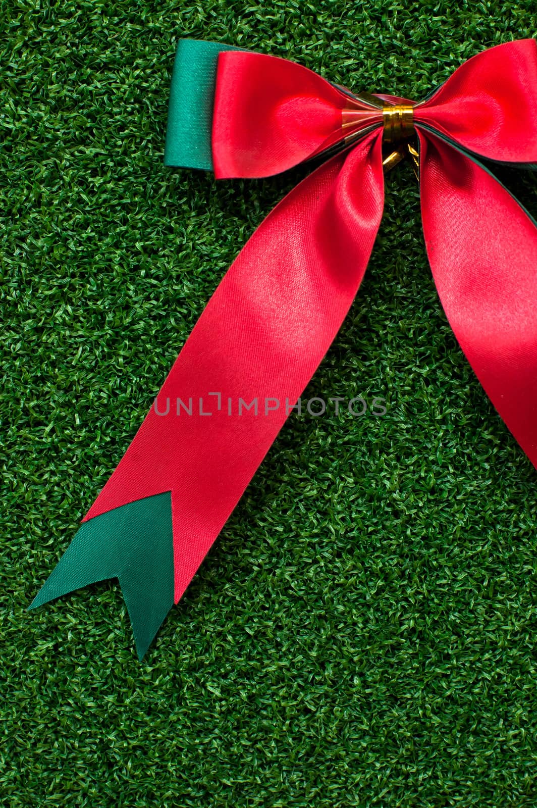 Red Bow on green grass by ponsulak