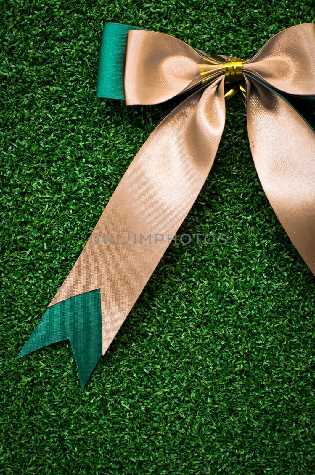 Gift Bow on green grass by ponsulak