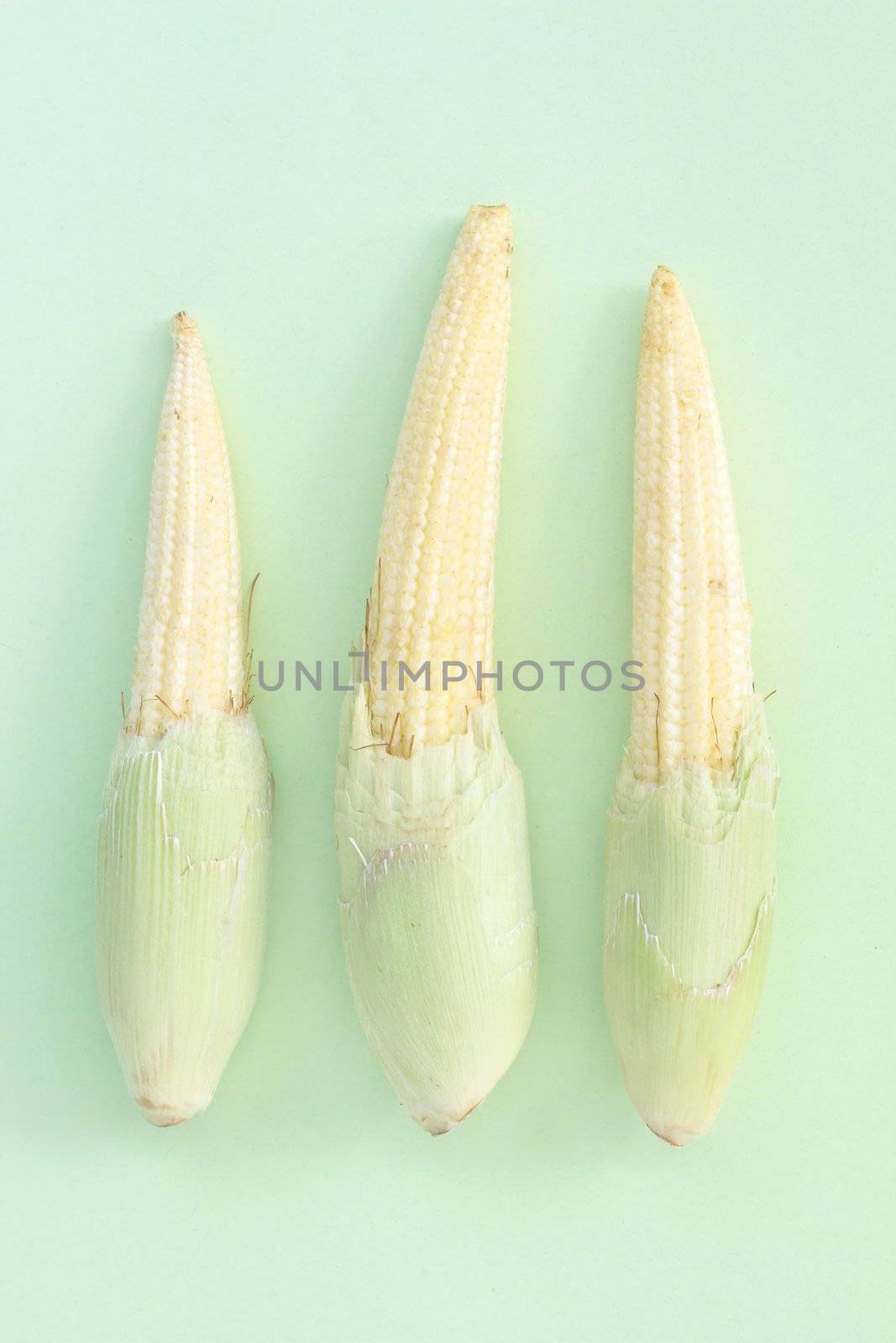 baby corn by ponsulak