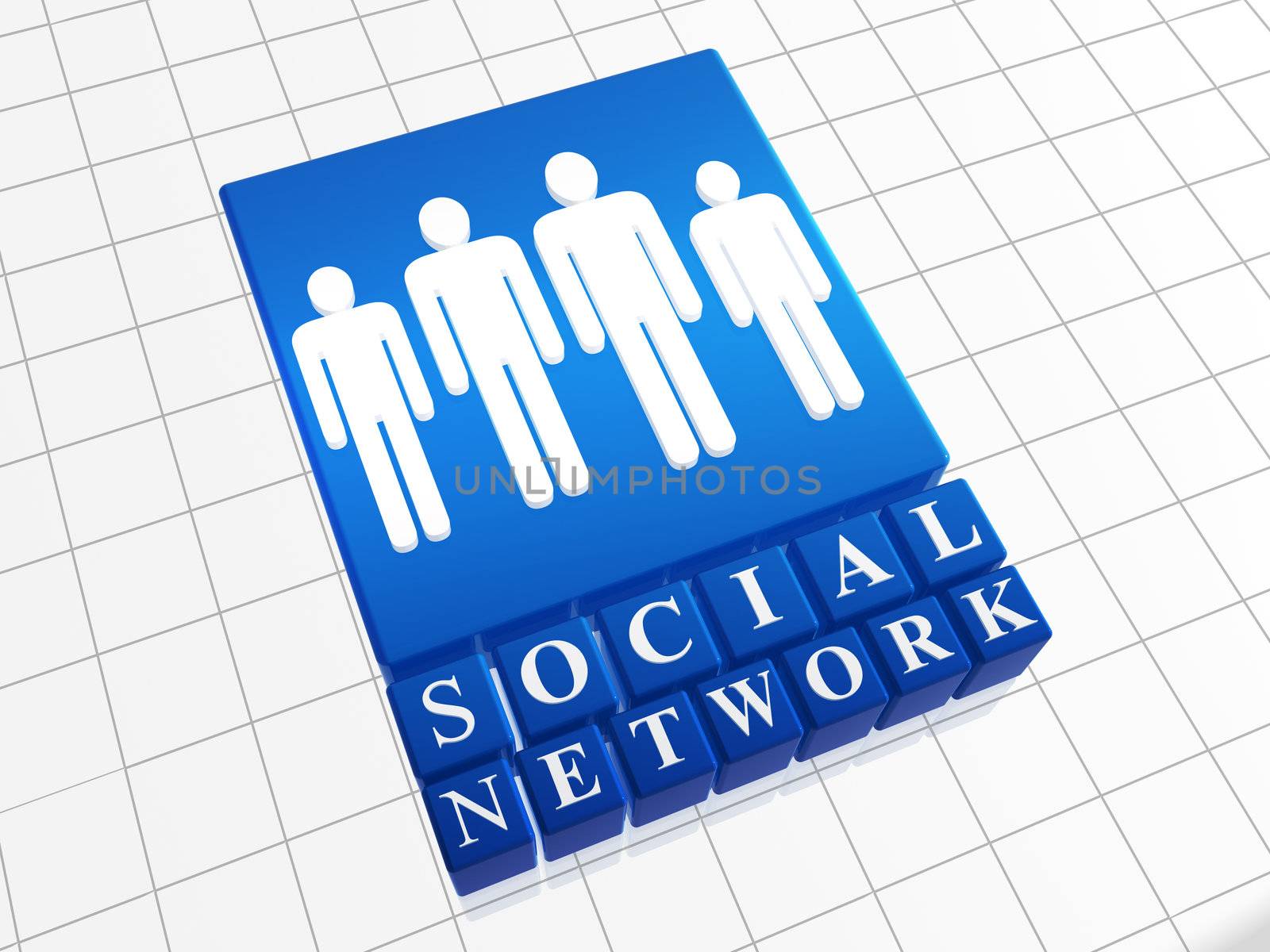 Social network � text and icon over boxes