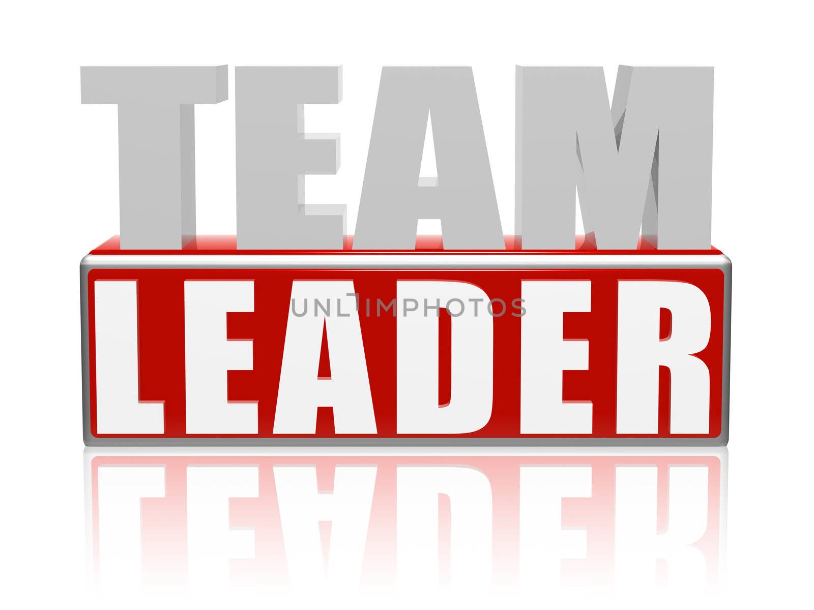 Team Leader � 3d text with red box