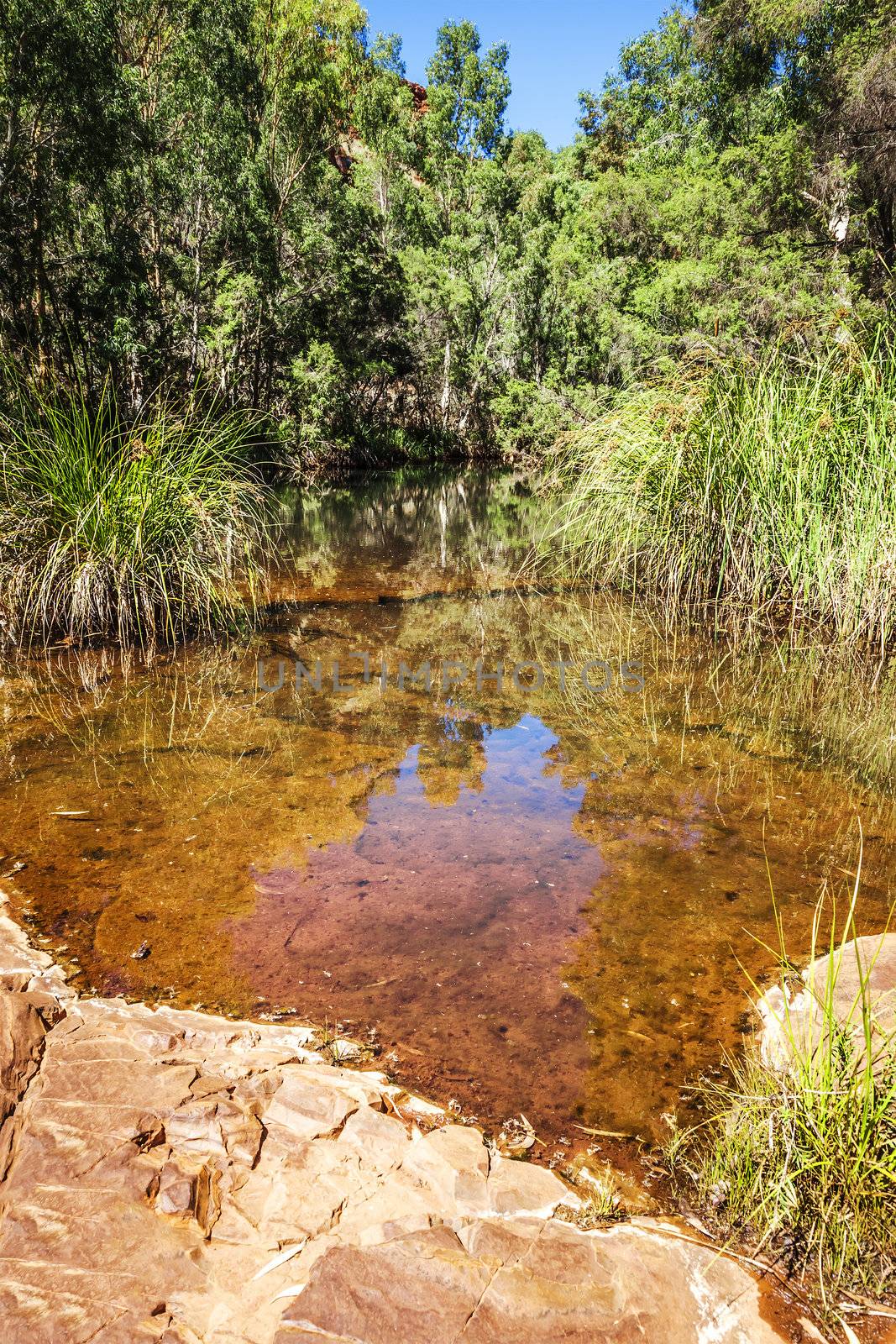 An image of the beautiful Dales Gorge in Australia