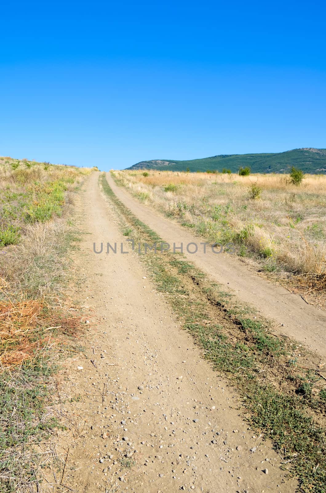 Road in field and blue sky in Crimea