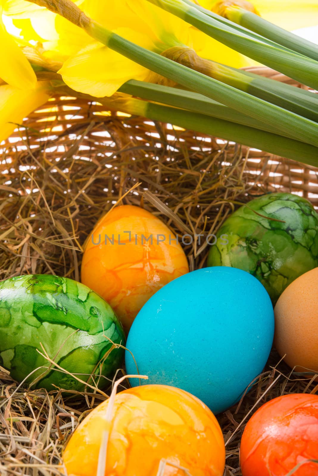 Coloured eggs by Darius.Dzinnik