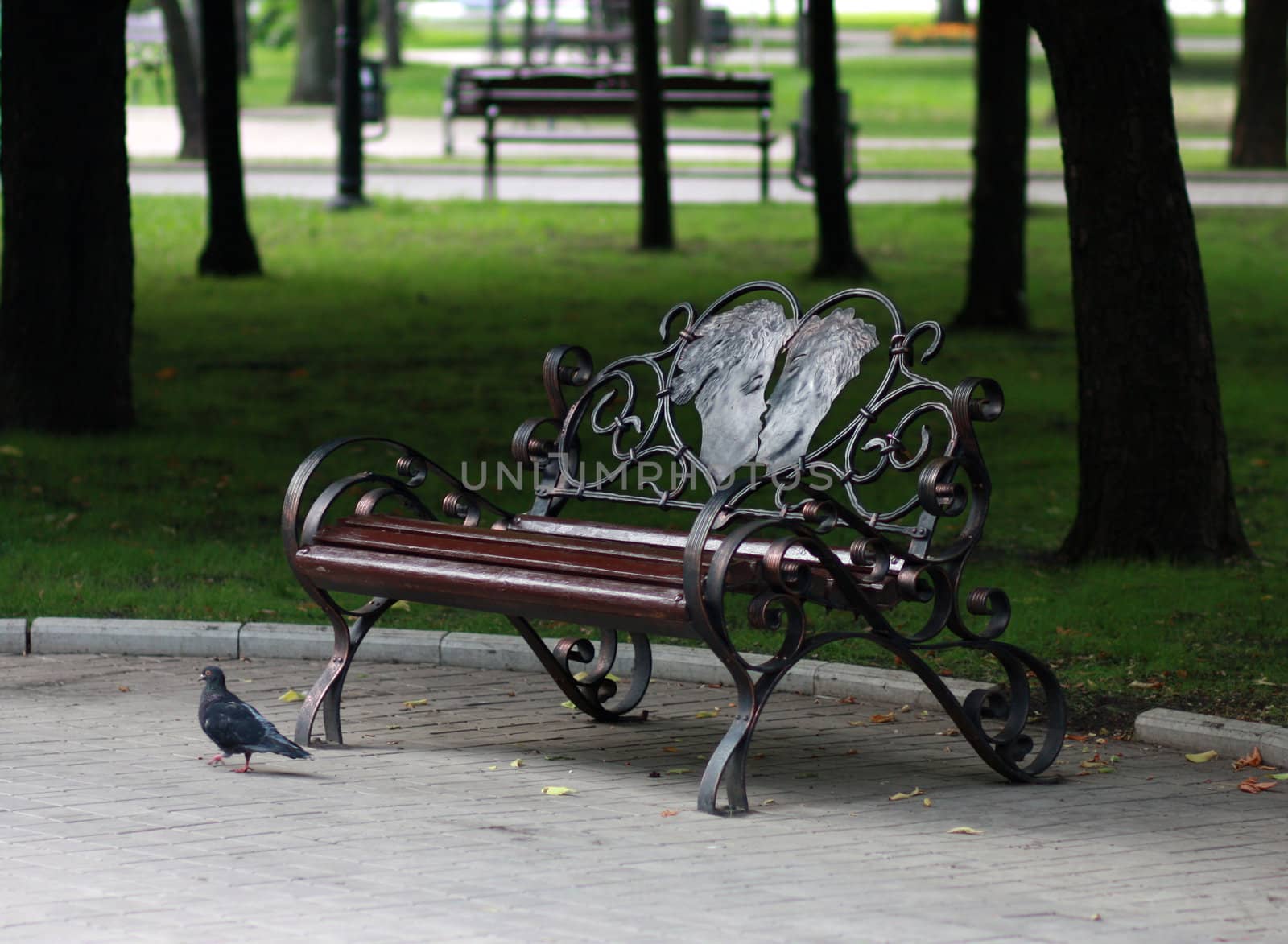 Metal forged bench in autumn park with a couple of lovers in heart