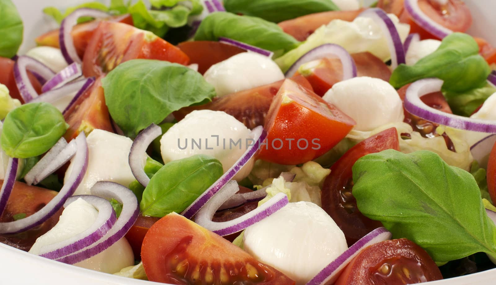 green salad with red onion and tomato