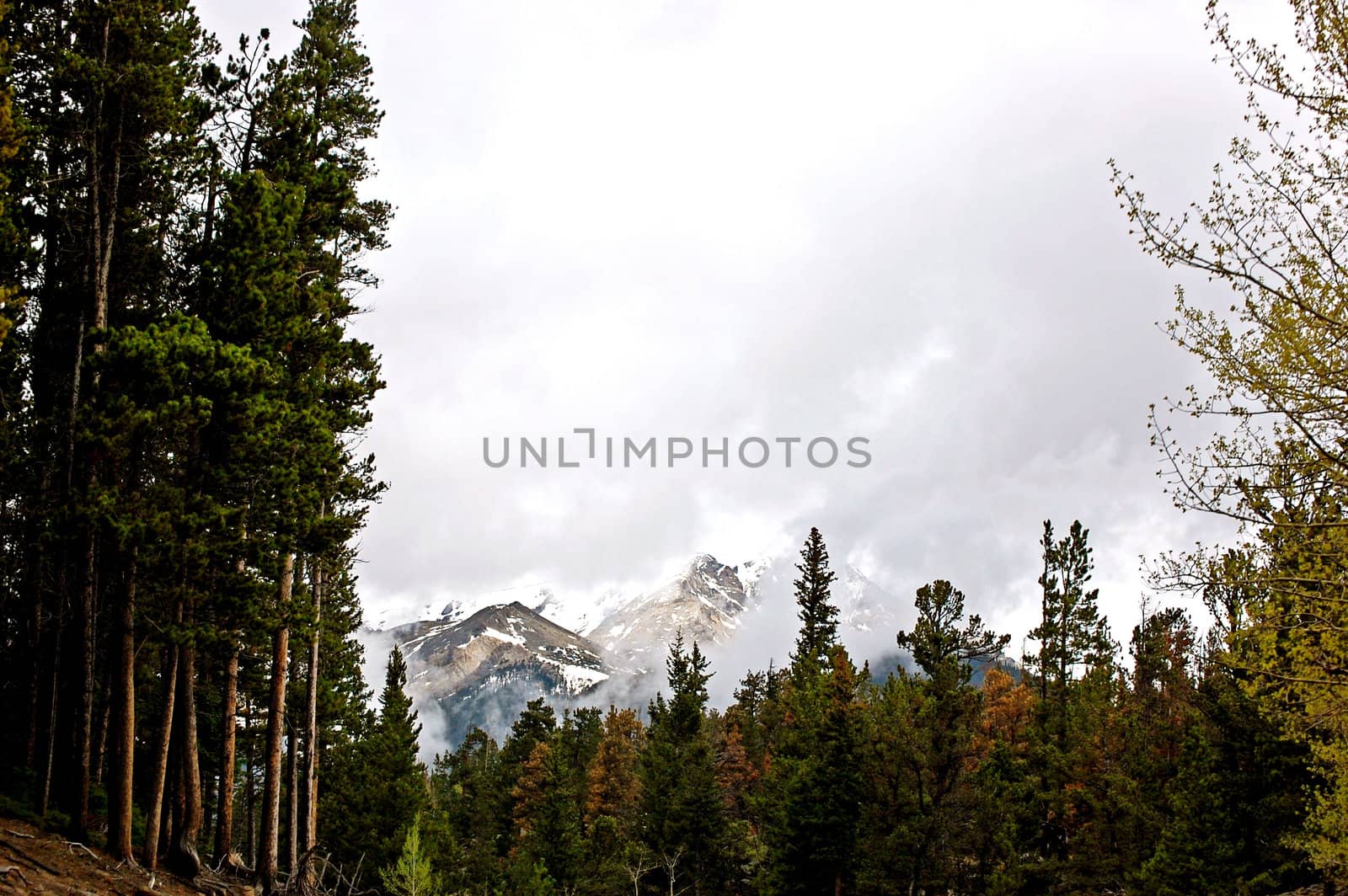 Colorado Mountains-1-29 by RefocusPhoto