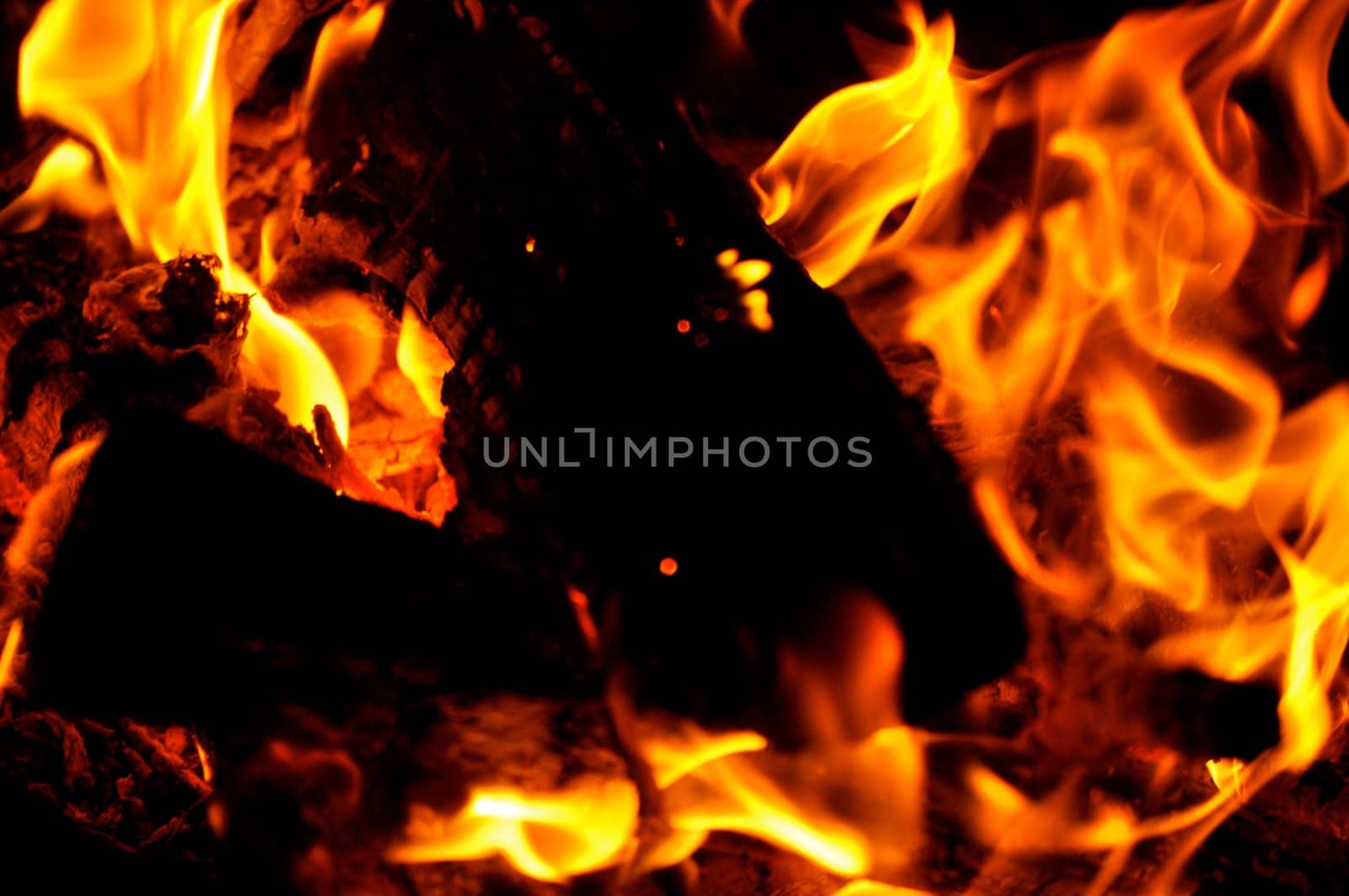 Campfire Flames by RefocusPhoto