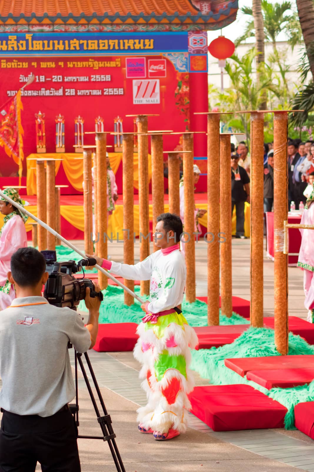 BANGKOK,/THAILAND-JANUARY 20:  lion dance dressing during parade in Chinese New Year Celebrations on January 20, 2013 in BANGKOK