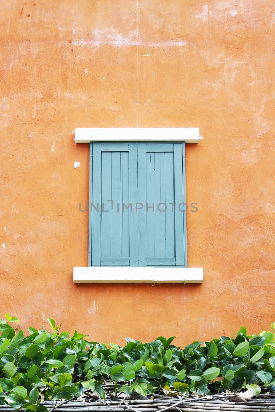 Old wooden window 
indigo blue color close on orange wall.