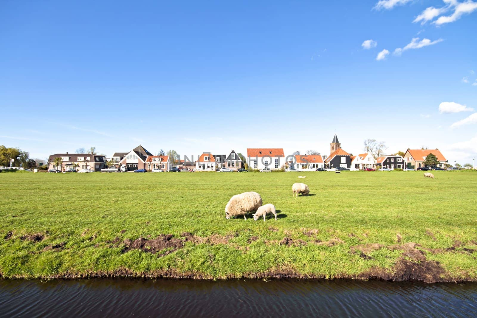 Spring in the countryside from the Netherlands