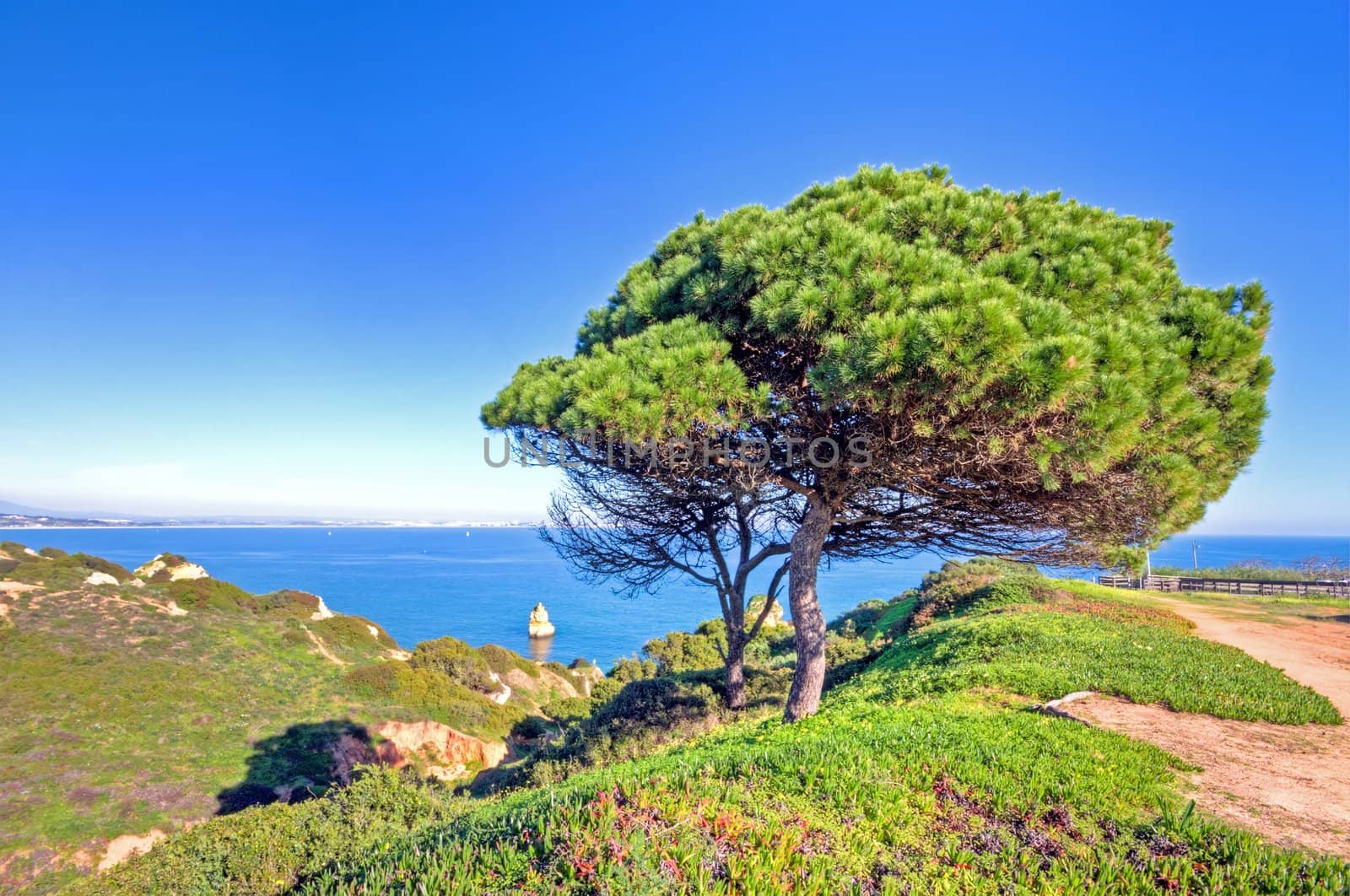 Portuguese landscape at the southcoast near Lagos in the Algarve Portugal