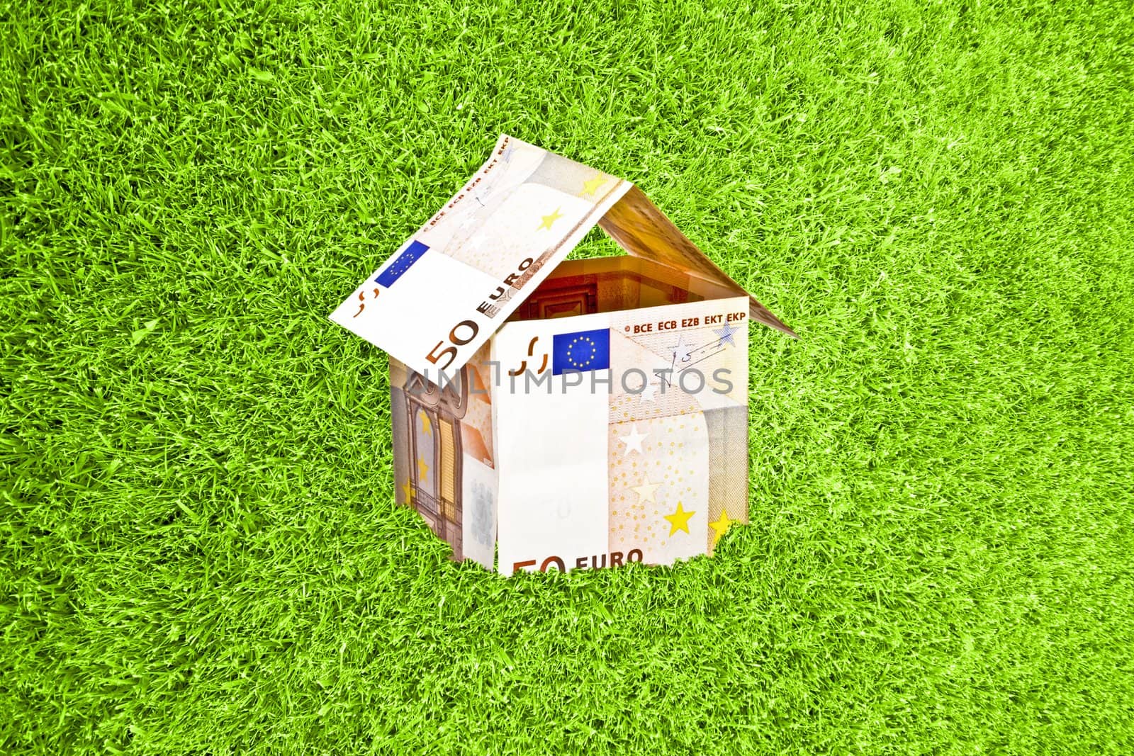 Little house from euro money in green grass