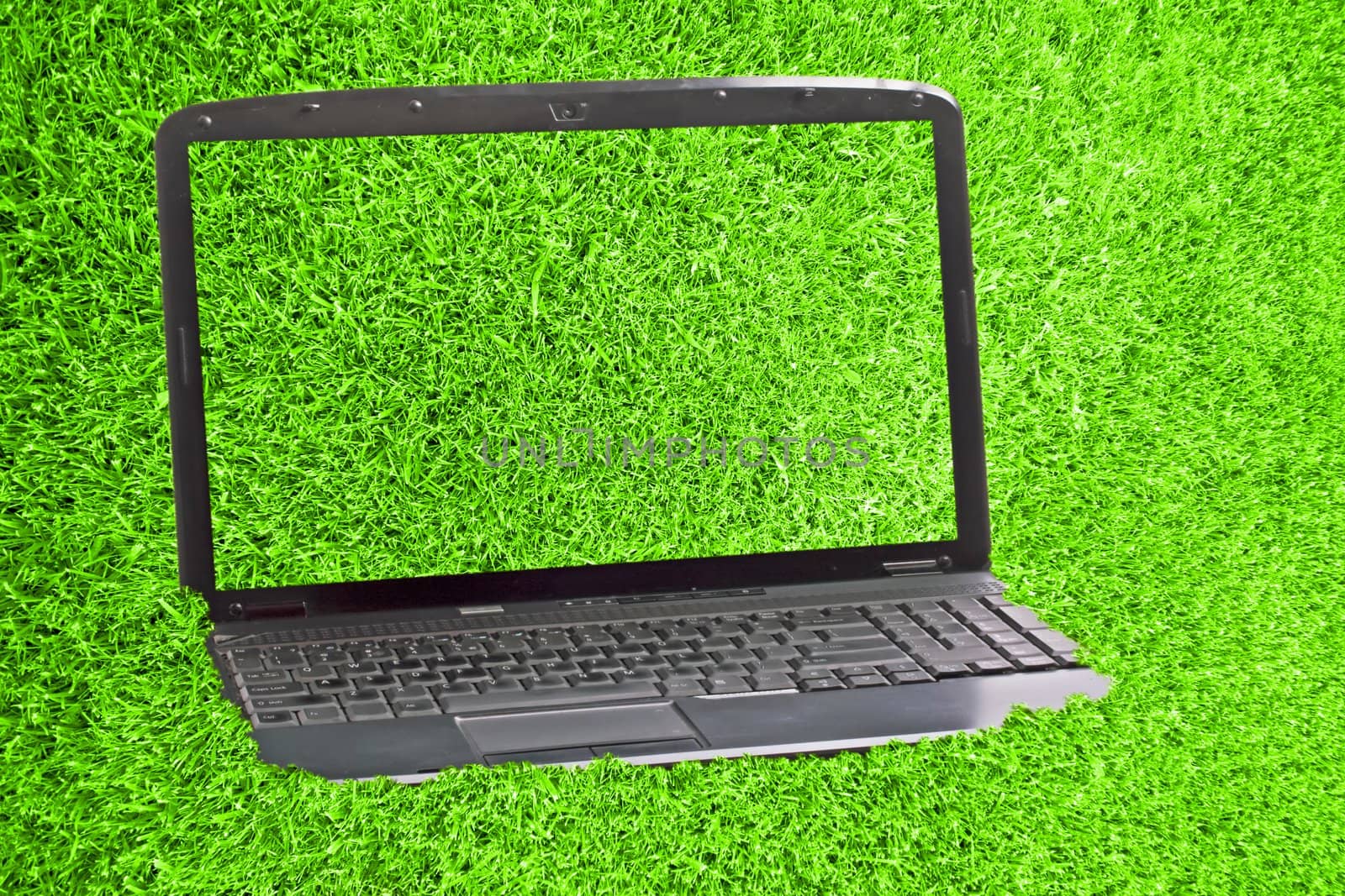 Laptop in green grass