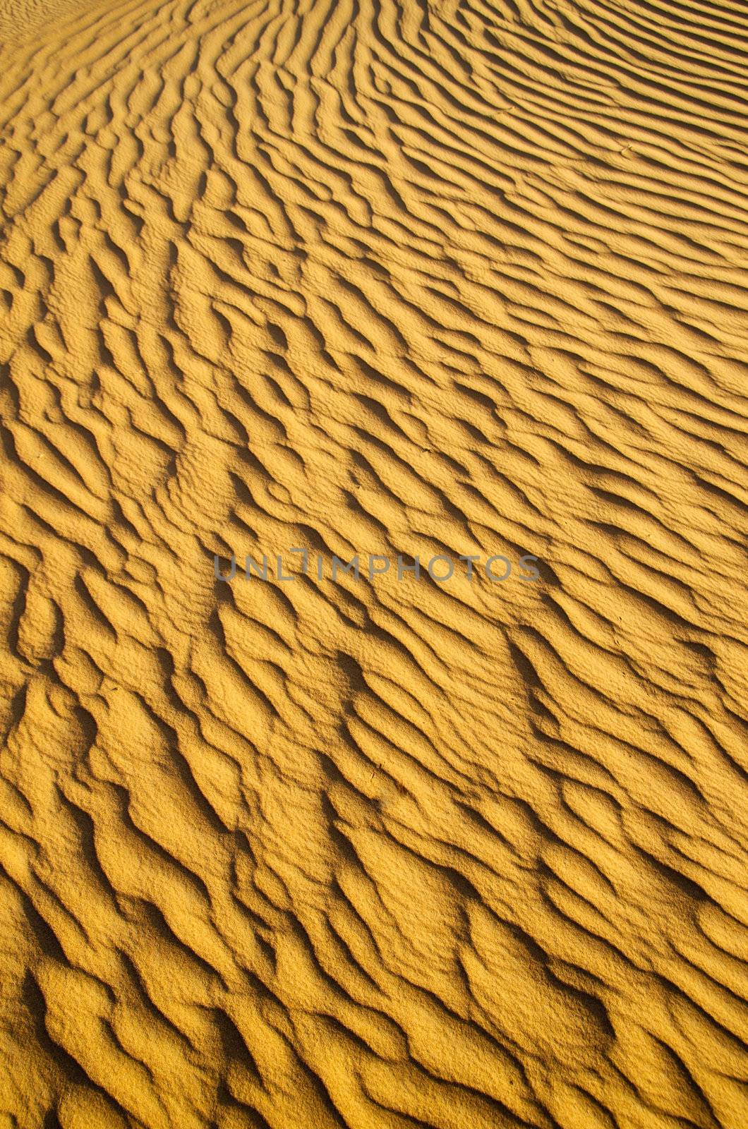 sand texture  by Pakhnyushchyy