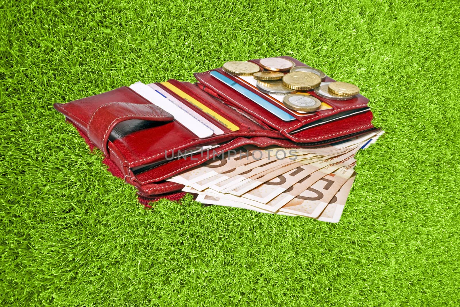 Red wallet with euro money and cards in green grass
