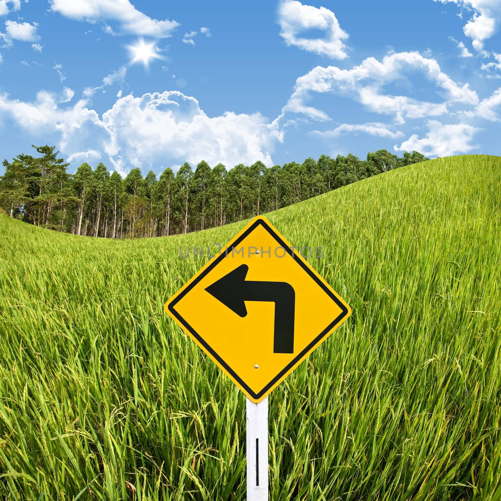 Turn left sign with rice field, Travel in countryside concept