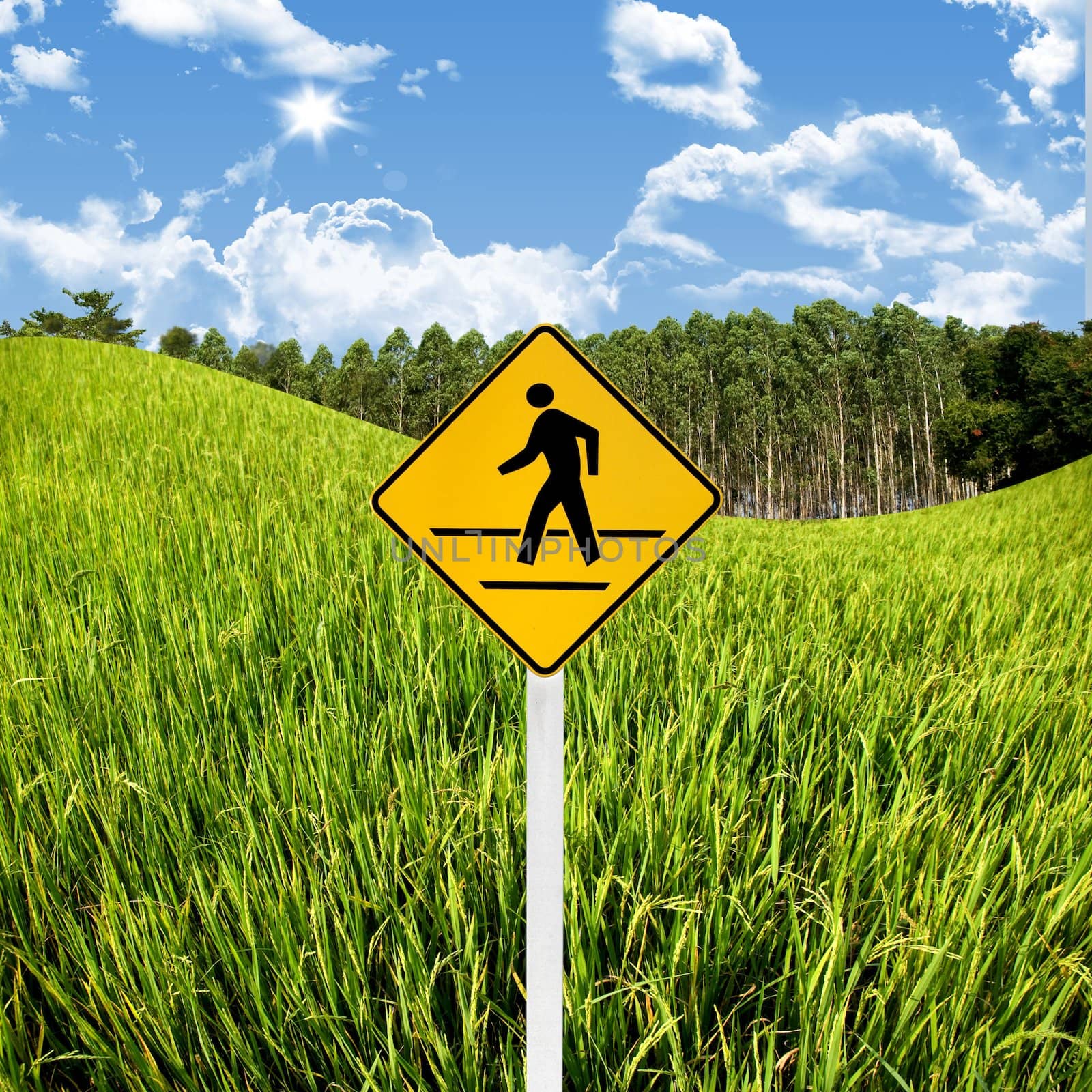 Crossroad sign with landscape background, Travel in countryside concept