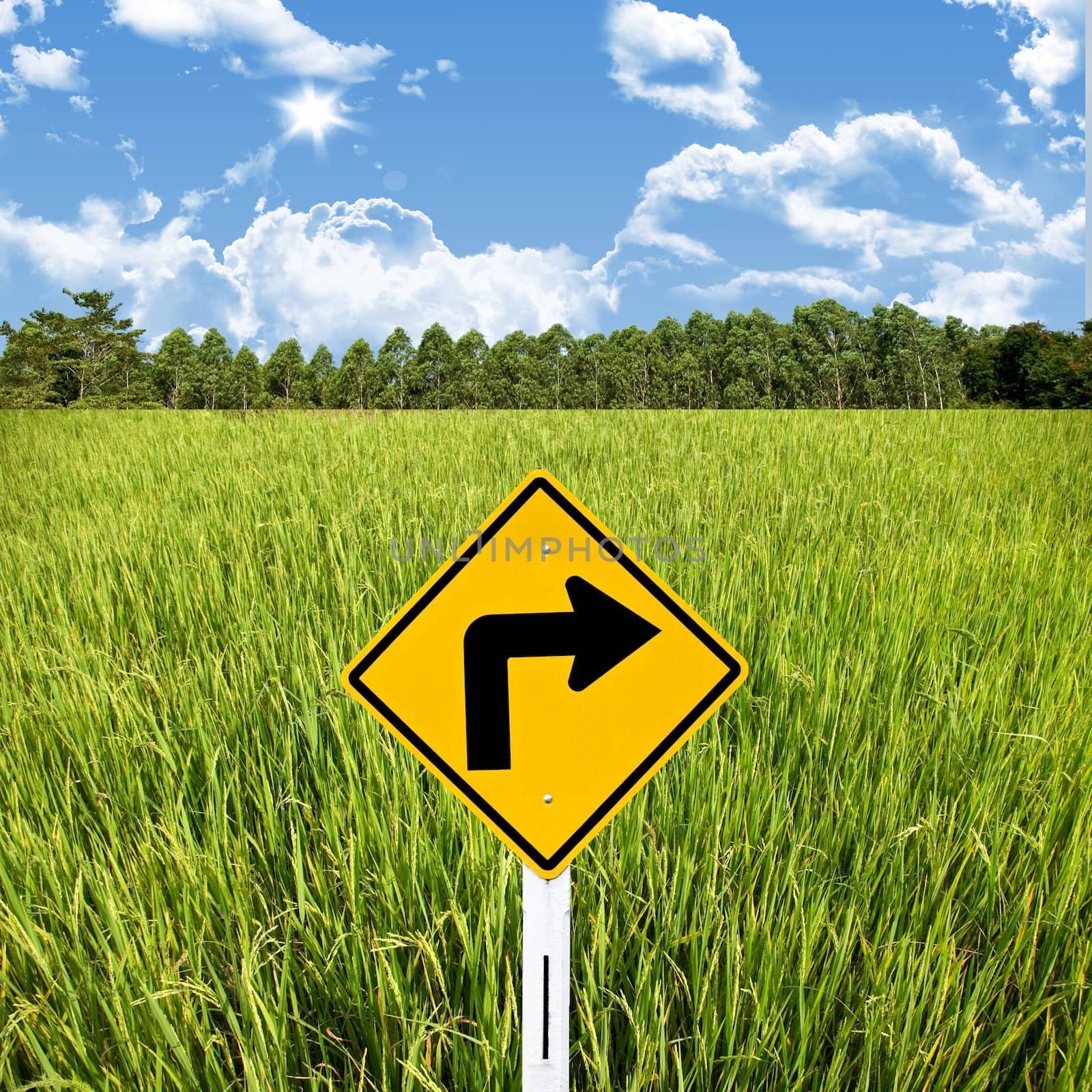 Turn right sign with rice field, Travel in countryside concept