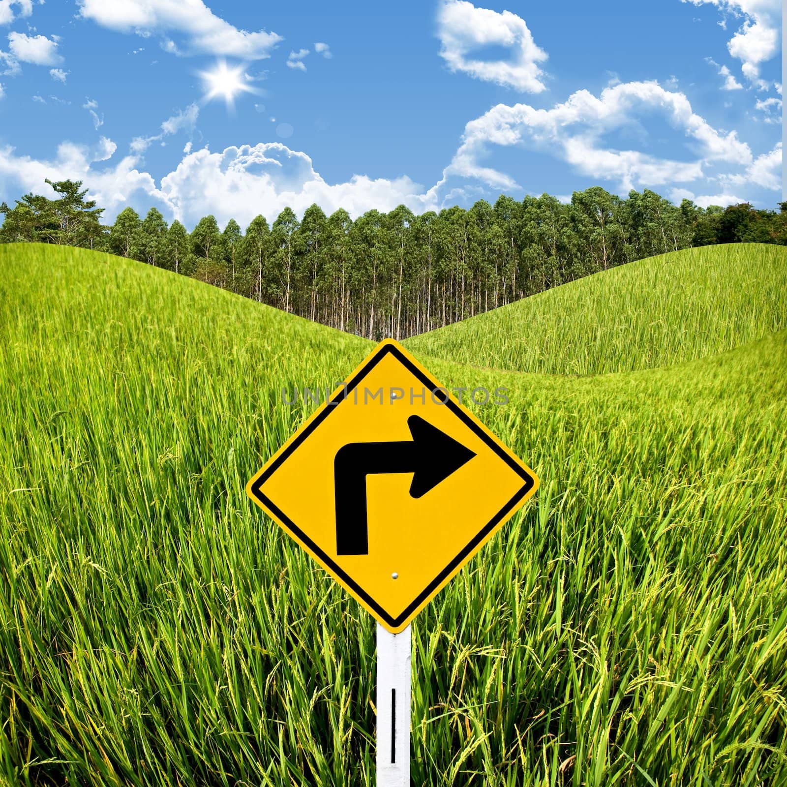 Travel in countryside concept, Turn right sign with rice field by pixbox77