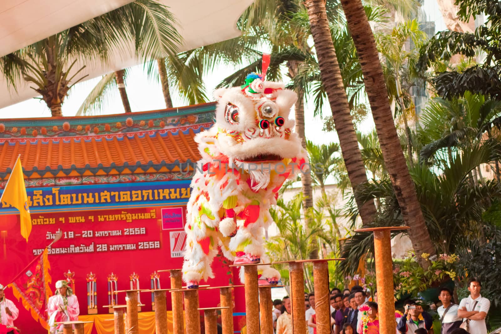 BANGKOK,/THAILAND-JANUARY 20:  lion dance dressing during parade in Chinese New Year Celebrations on January 20, 2013 in BANGKOK by nikky1972