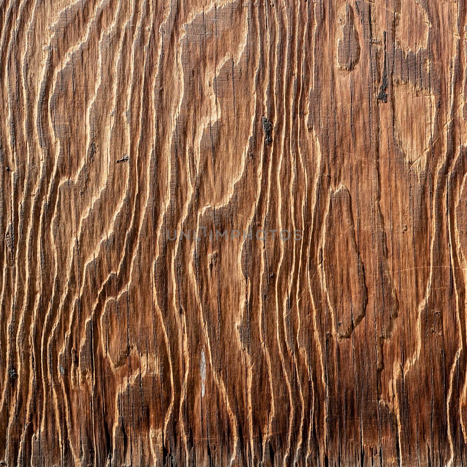 wood material texture  by peus