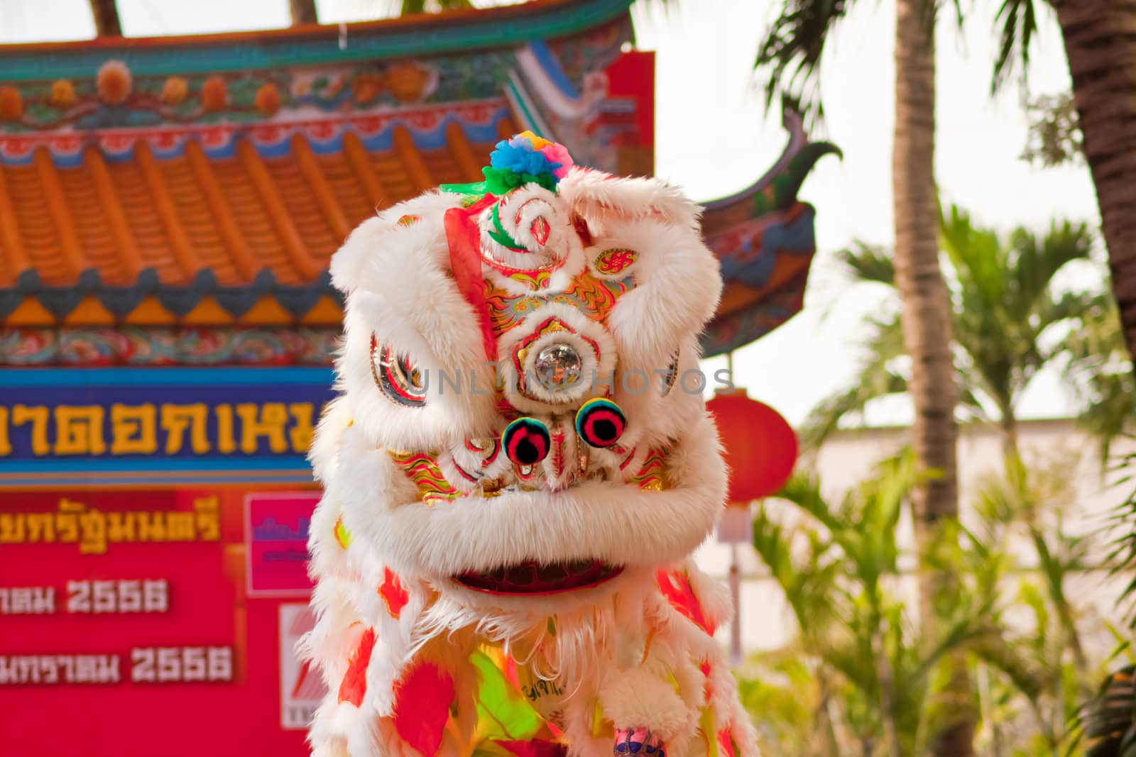 BANGKOK,/THAILAND-JANUARY 20:  lion dance dressing during parade in Chinese New Year Celebrations on January 20, 2013 in BANGKOK by nikky1972