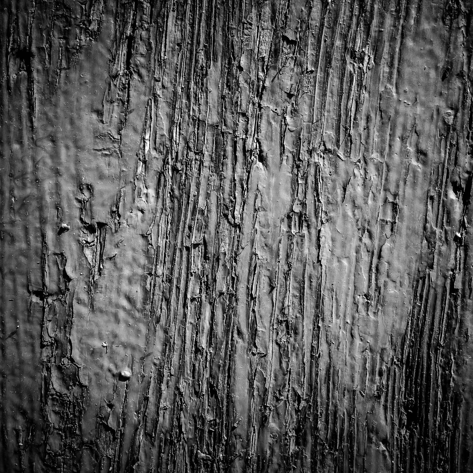 black and white artistic wood texture pattern