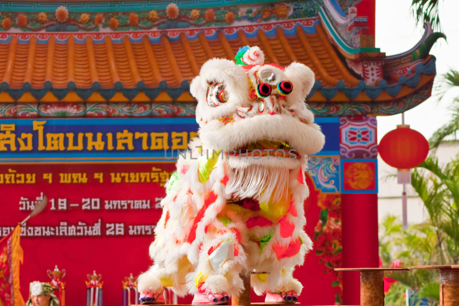 BANGKOK,/THAILAND-JANUARY 20:  lion dance dressing during parade in Chinese New Year Celebrations on January 20, 2013 in BANGKOK