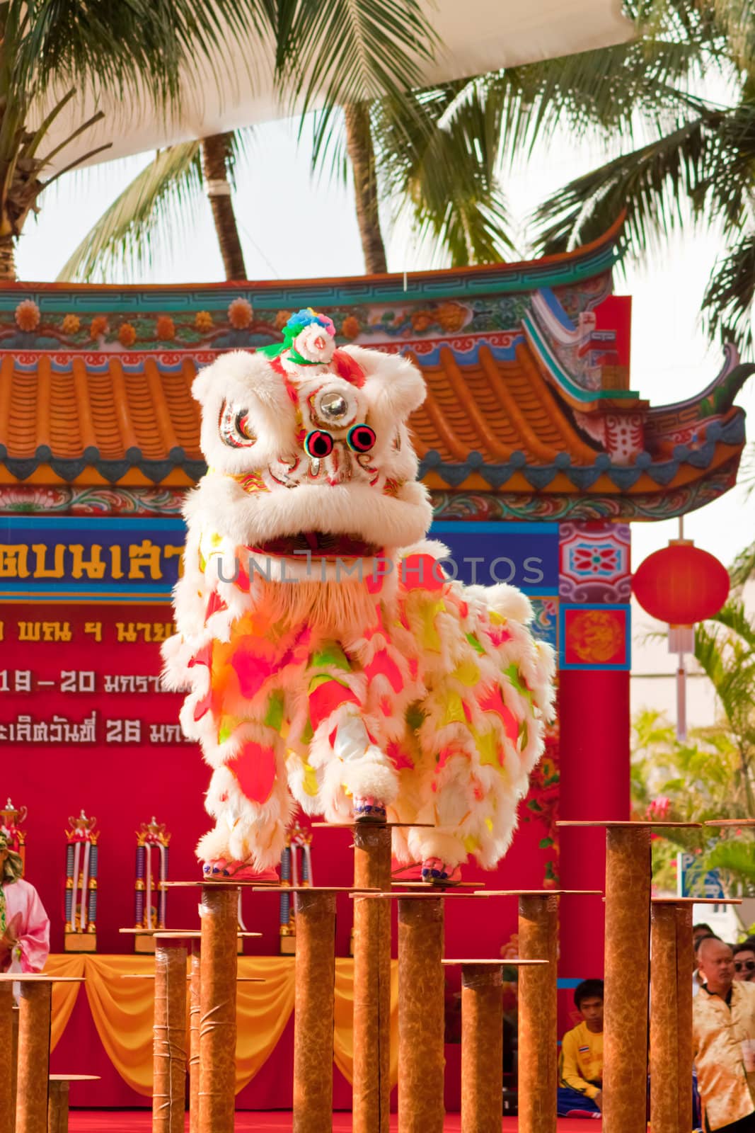 BANGKOK,/THAILAND-JANUARY 20:  lion dance dressing during parade in Chinese New Year Celebrations on January 20, 2013 in BANGKOK