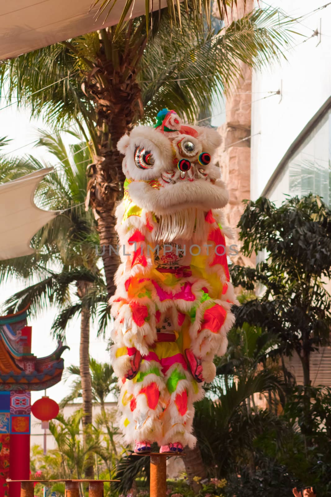 BANGKOK,/THAILAND-JANUARY 20:  lion dance dressing during parade in Chinese New Year Celebrations on January 20, 2013 in BANGKOK