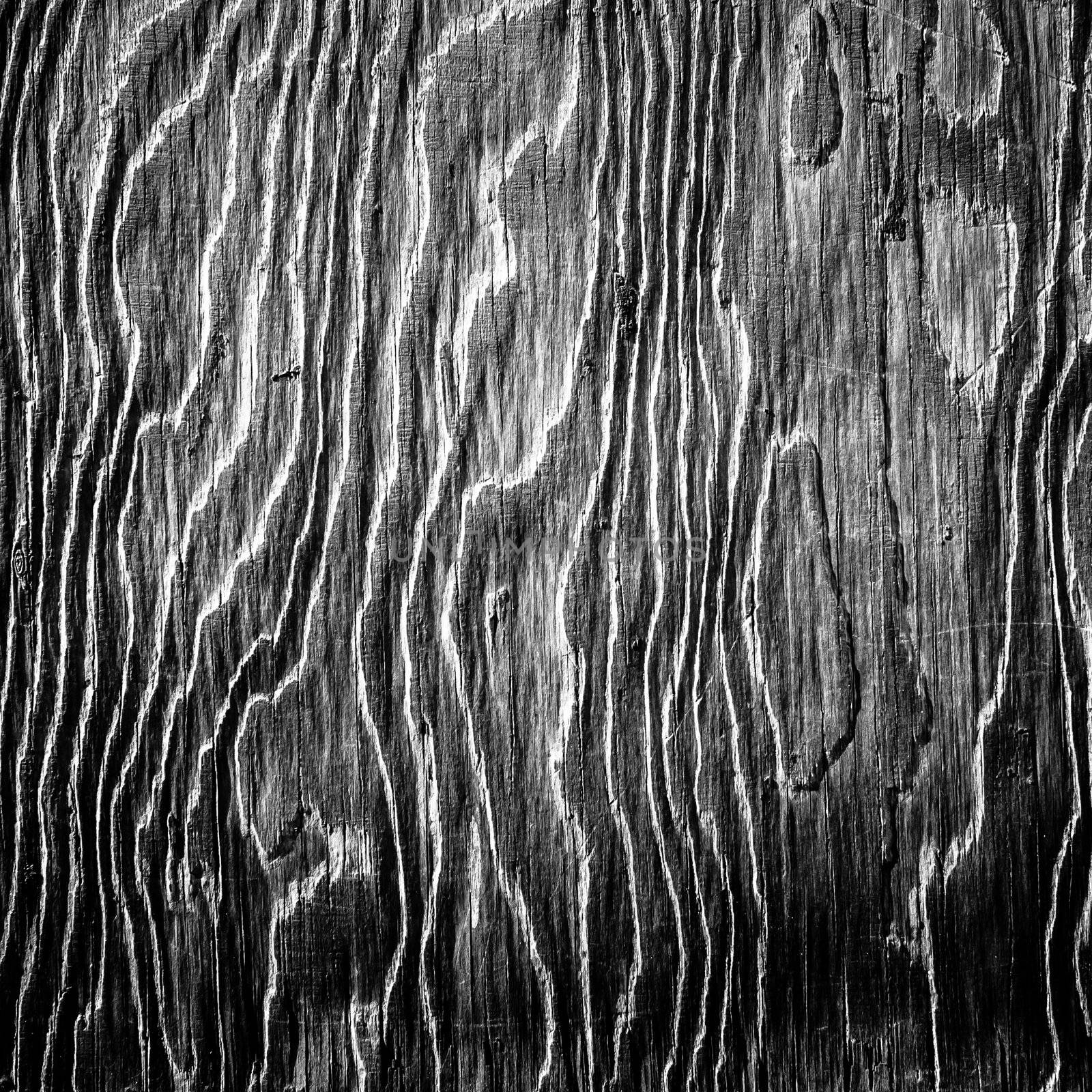 black and white artistic wood texture by peus