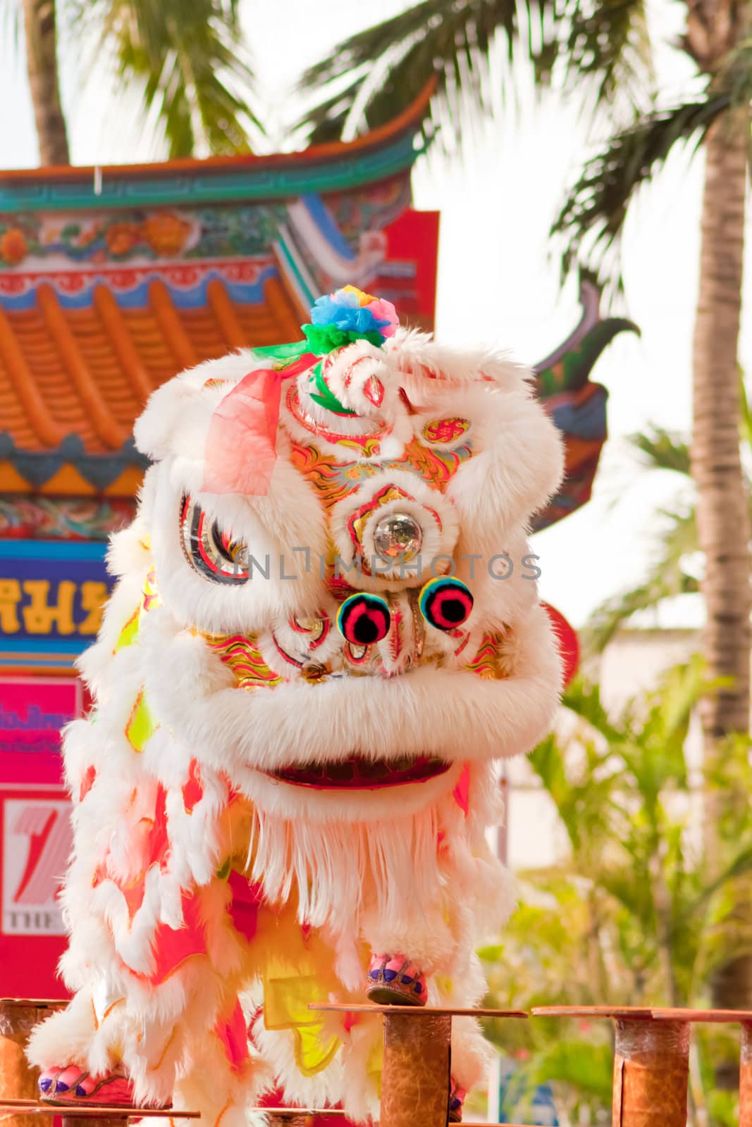 BANGKOK,/THAILAND-JANUARY 20:  lion dance dressing during parade in Chinese New Year Celebrations on January 20, 2013 in BANGKOK
