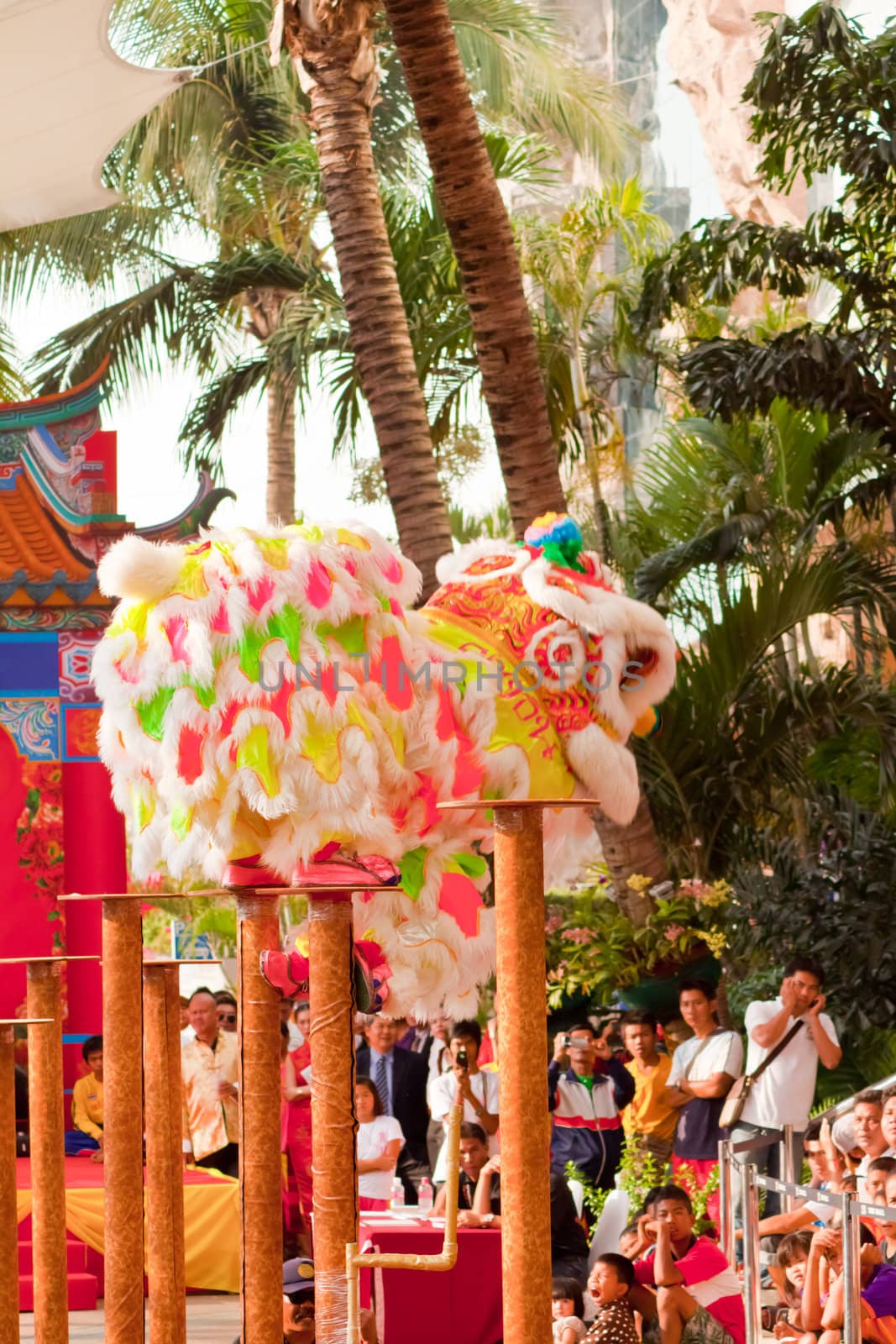 BANGKOK,/THAILAND-JANUARY 20:  lion dance dressing during parade in Chinese New Year Celebrations on January 20, 2013 in BANGKOK