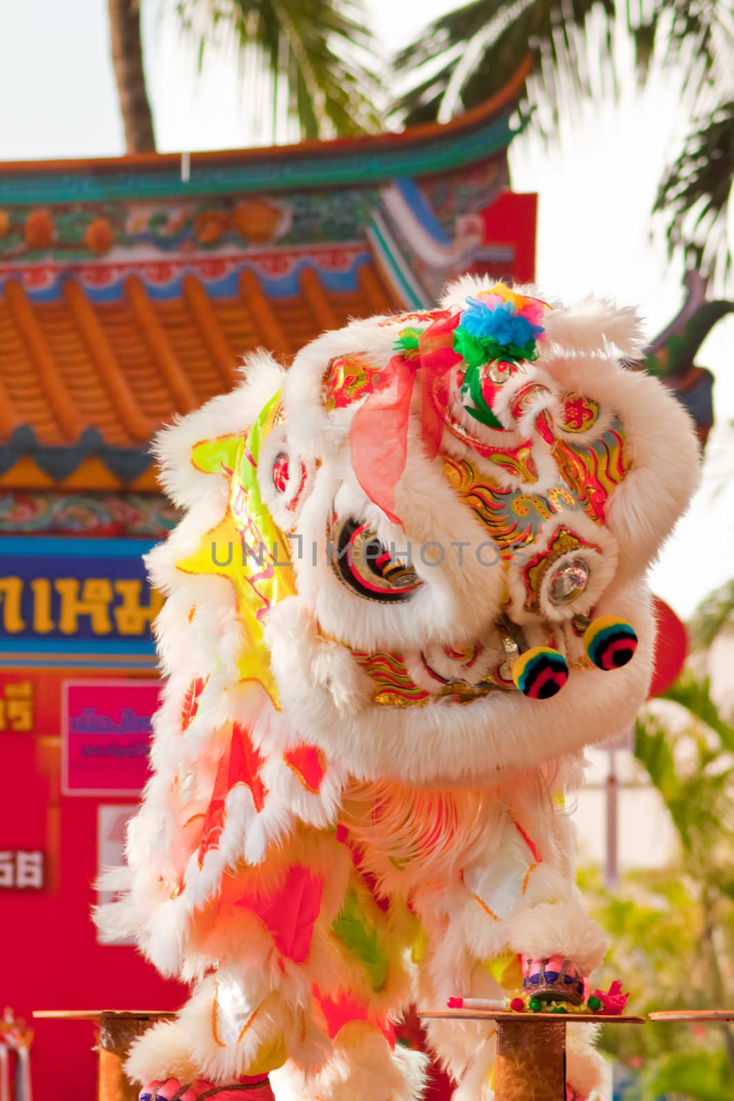 BANGKOK,/THAILAND-JANUARY 20:  lion dance dressing during parade in Chinese New Year Celebrations on January 20, 2013 in BANGKOK