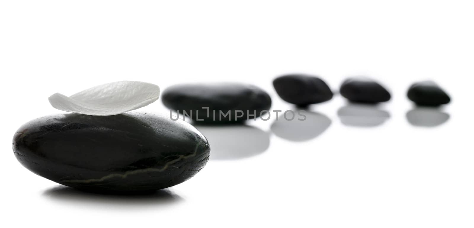Black spa stones in a row with white petal on the front one.