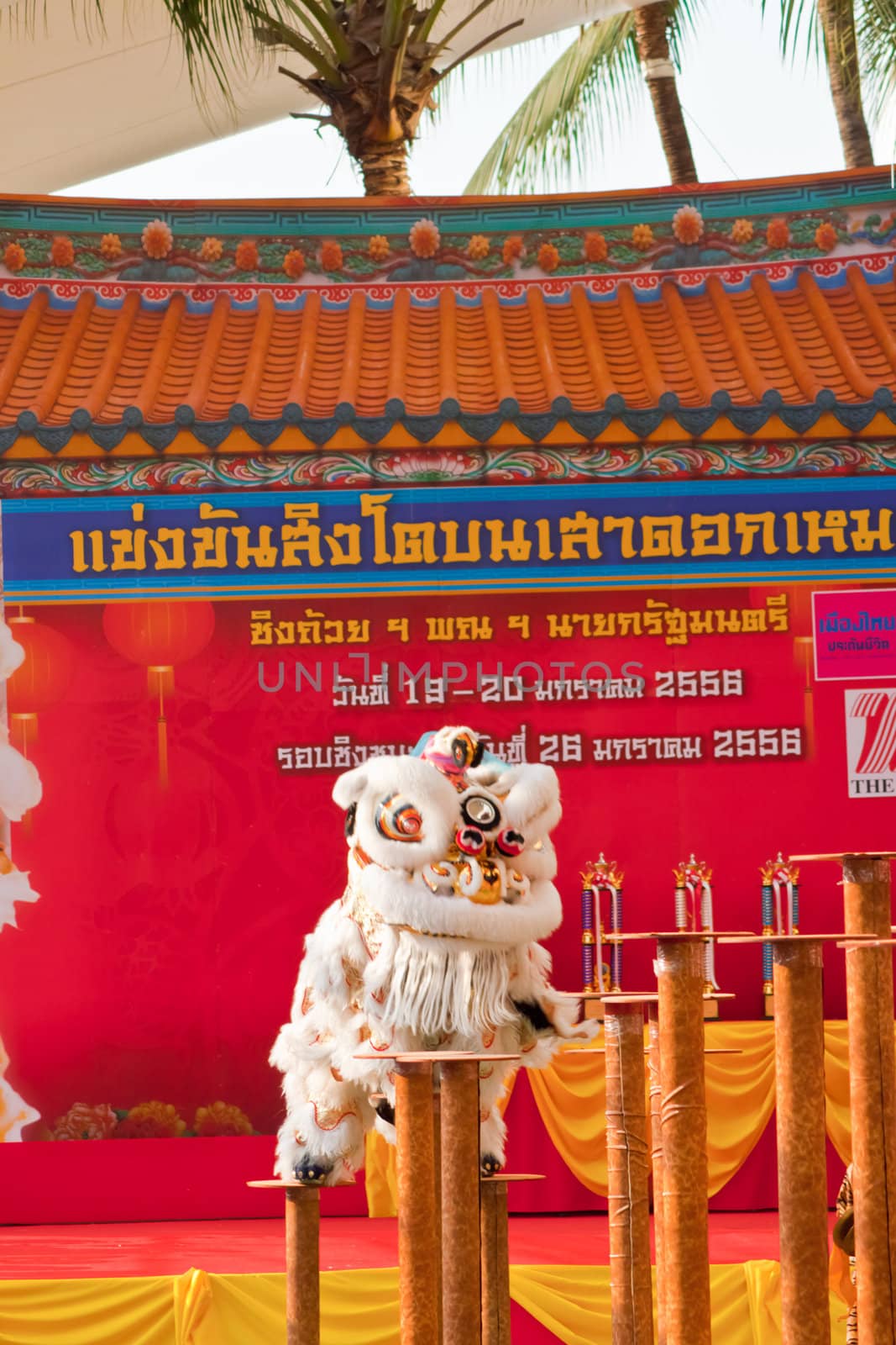 BANGKOK,/THAILAND-JANUARY 20:  lion dance dressing during parade in Chinese New Year Celebrations on January 20, 2013 in BANGKOK