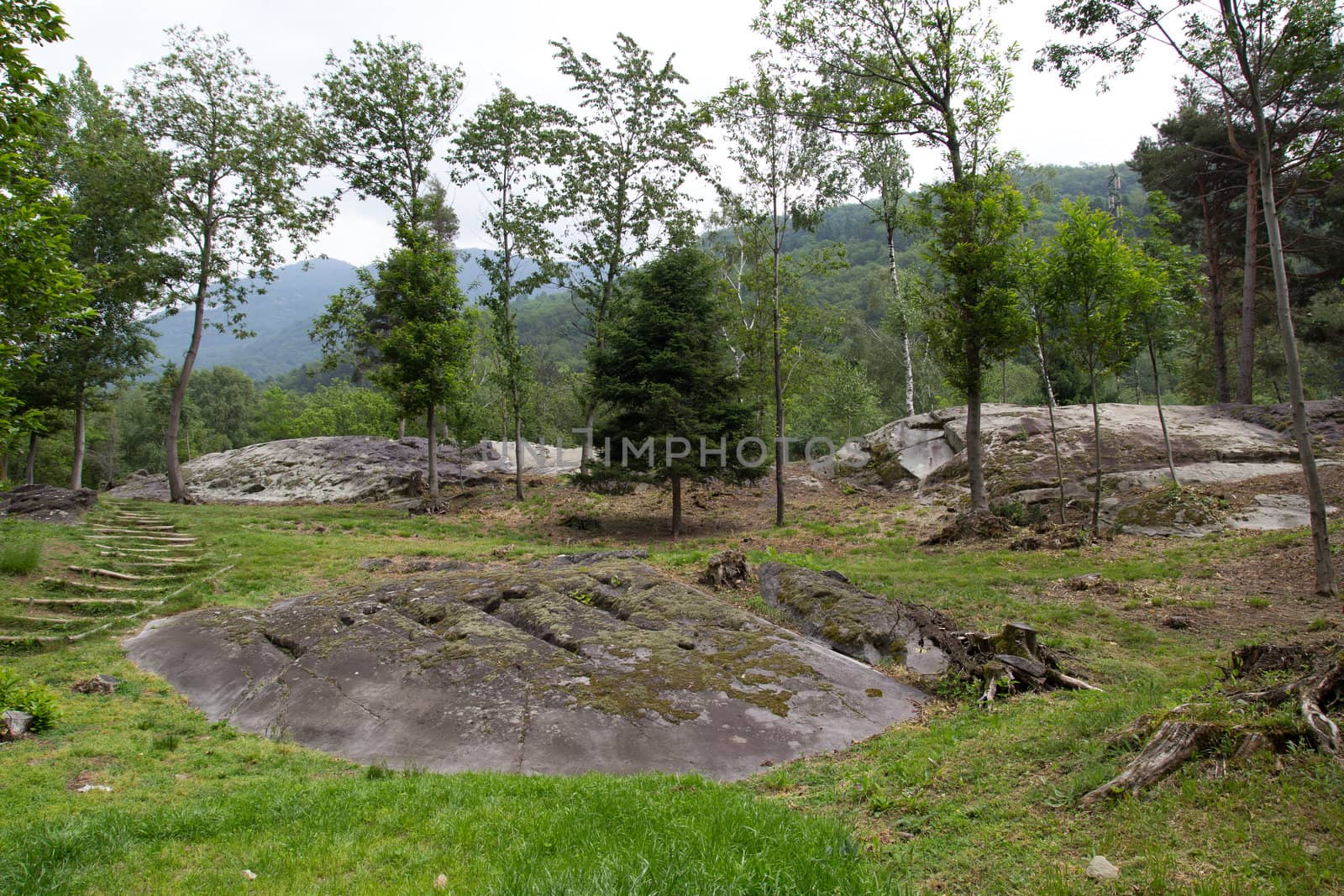 The Naquane National Park of Rock Engravings in Capo di Ponte Italy. World Heritage UNESCO site n. 94