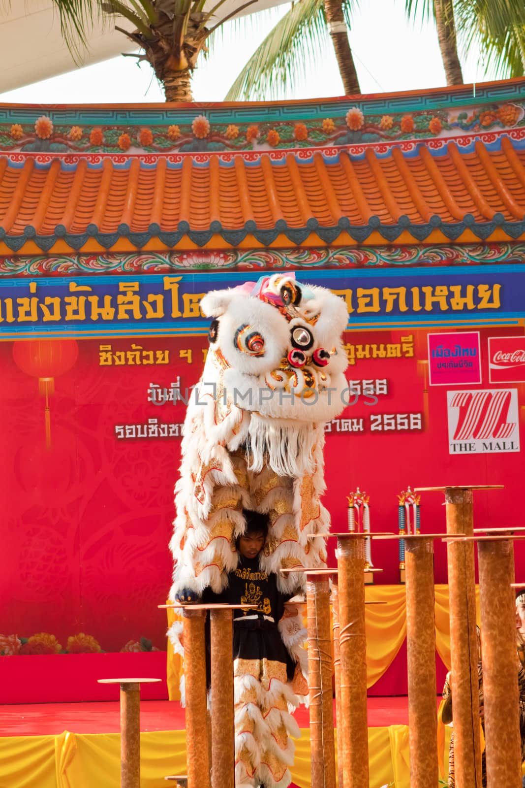 BANGKOK,/THAILAND-JANUARY 20:  lion dance dressing during parade in Chinese New Year Celebrations on January 20, 2013 in BANGKOK