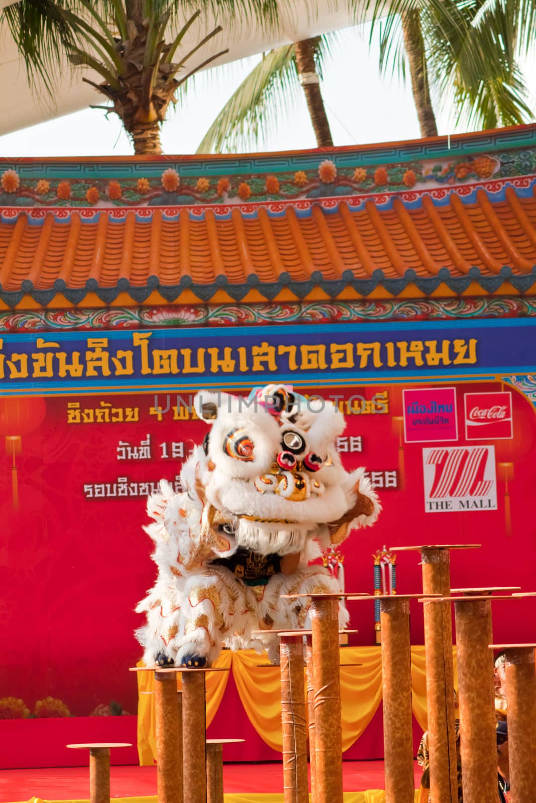 BANGKOK,/THAILAND-JANUARY 20:  lion dance dressing during parade in Chinese New Year Celebrations on January 20, 2013 in BANGKOK