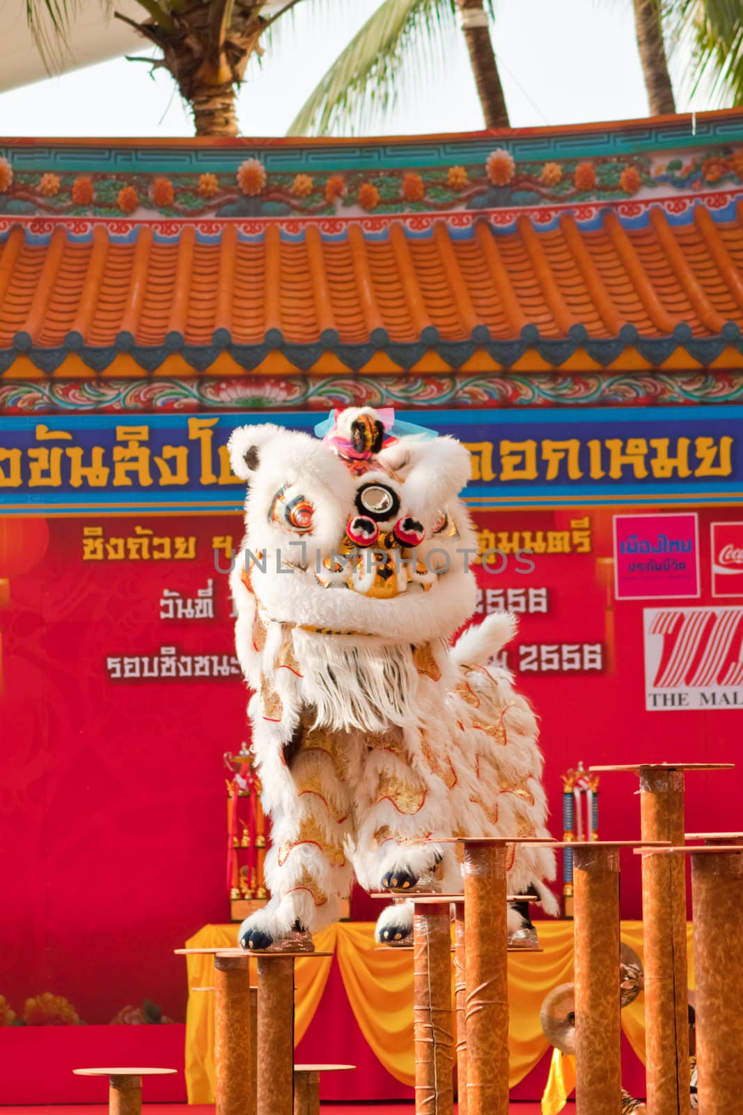 BANGKOK,/THAILAND-JANUARY 20:  lion dance dressing during parade in Chinese New Year Celebrations on January 20, 2013 in BANGKOK