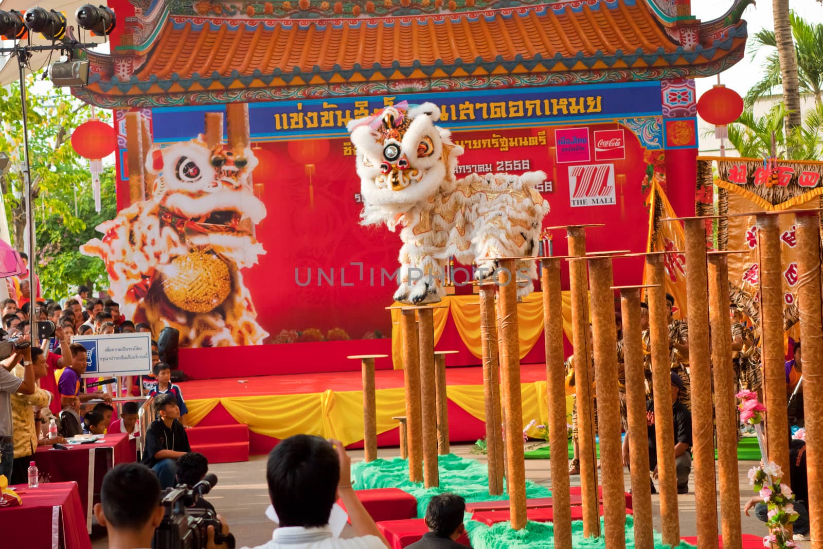 BANGKOK,/THAILAND-JANUARY 20:  lion dance dressing during parade in Chinese New Year Celebrations on January 20, 2013 in BANGKOK