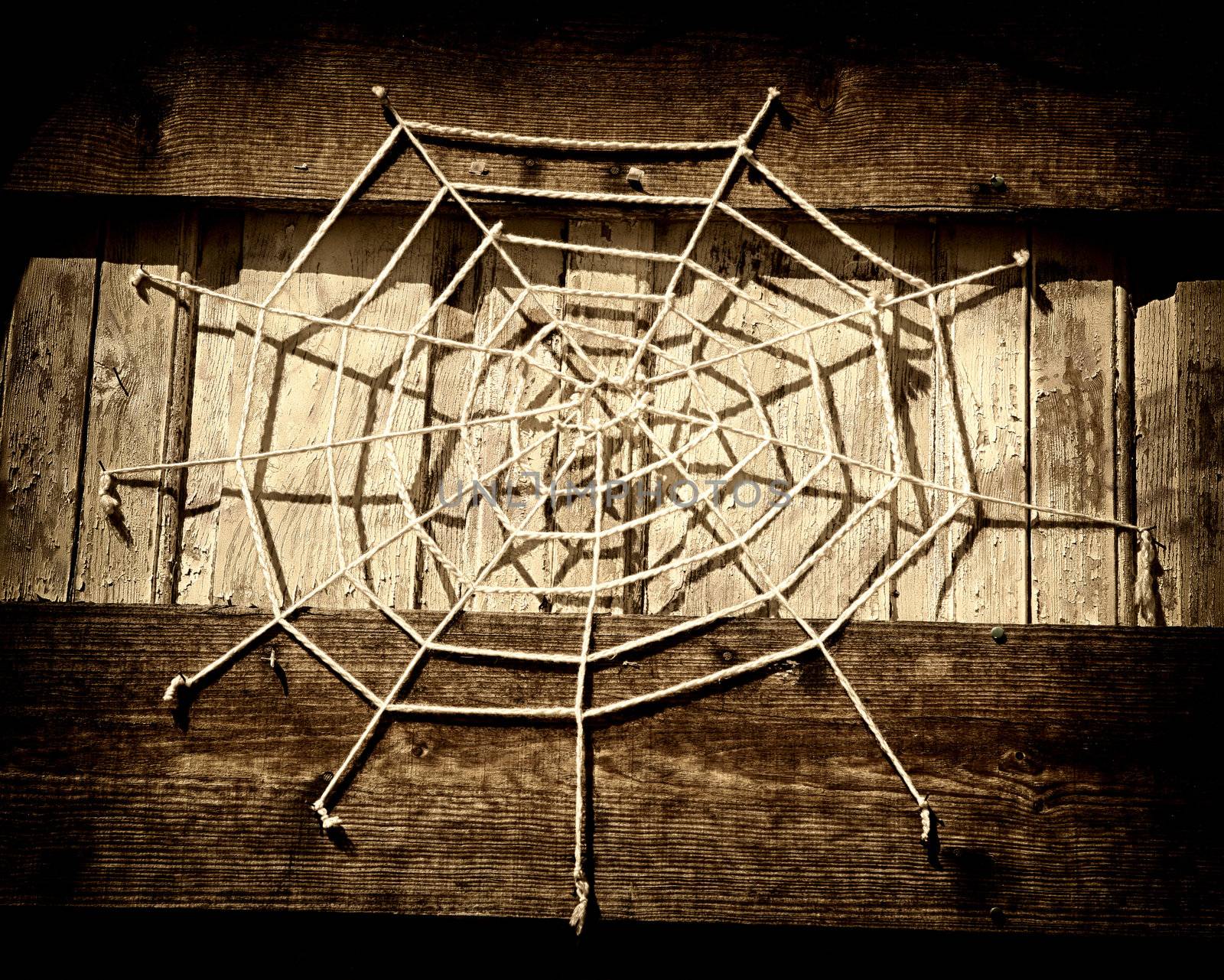 Artistic and conseptual spider web.