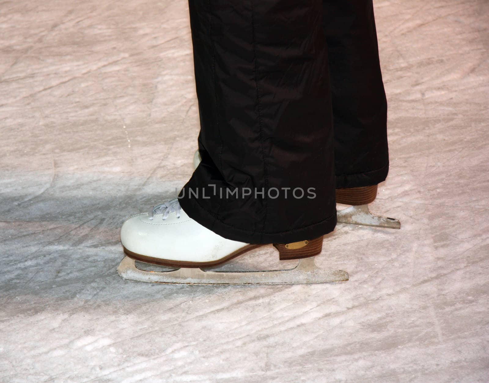 Pair of ice skates standing on the rink