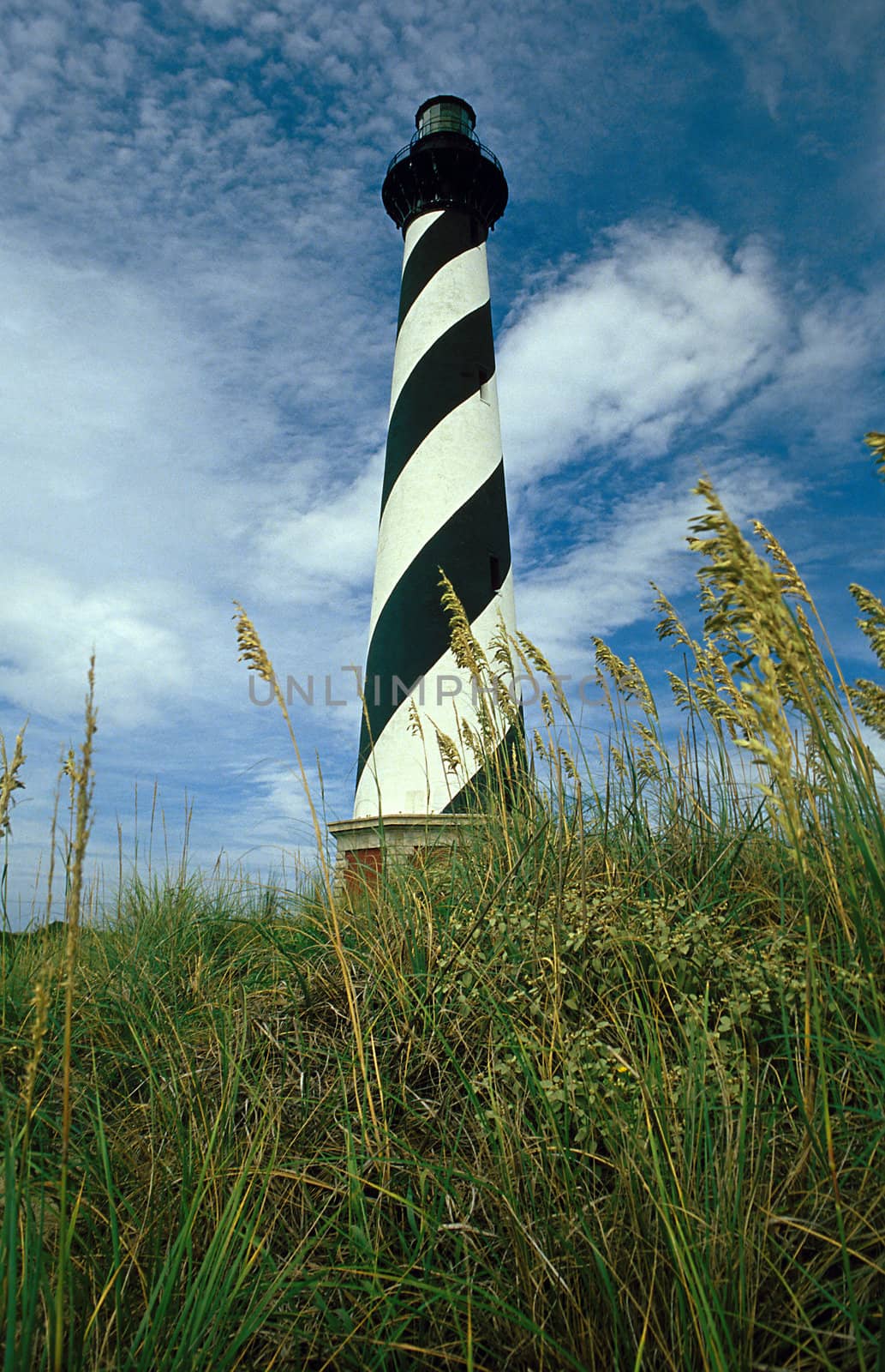 Cape Hatteras Lighthouse with Sea Oats in Forground