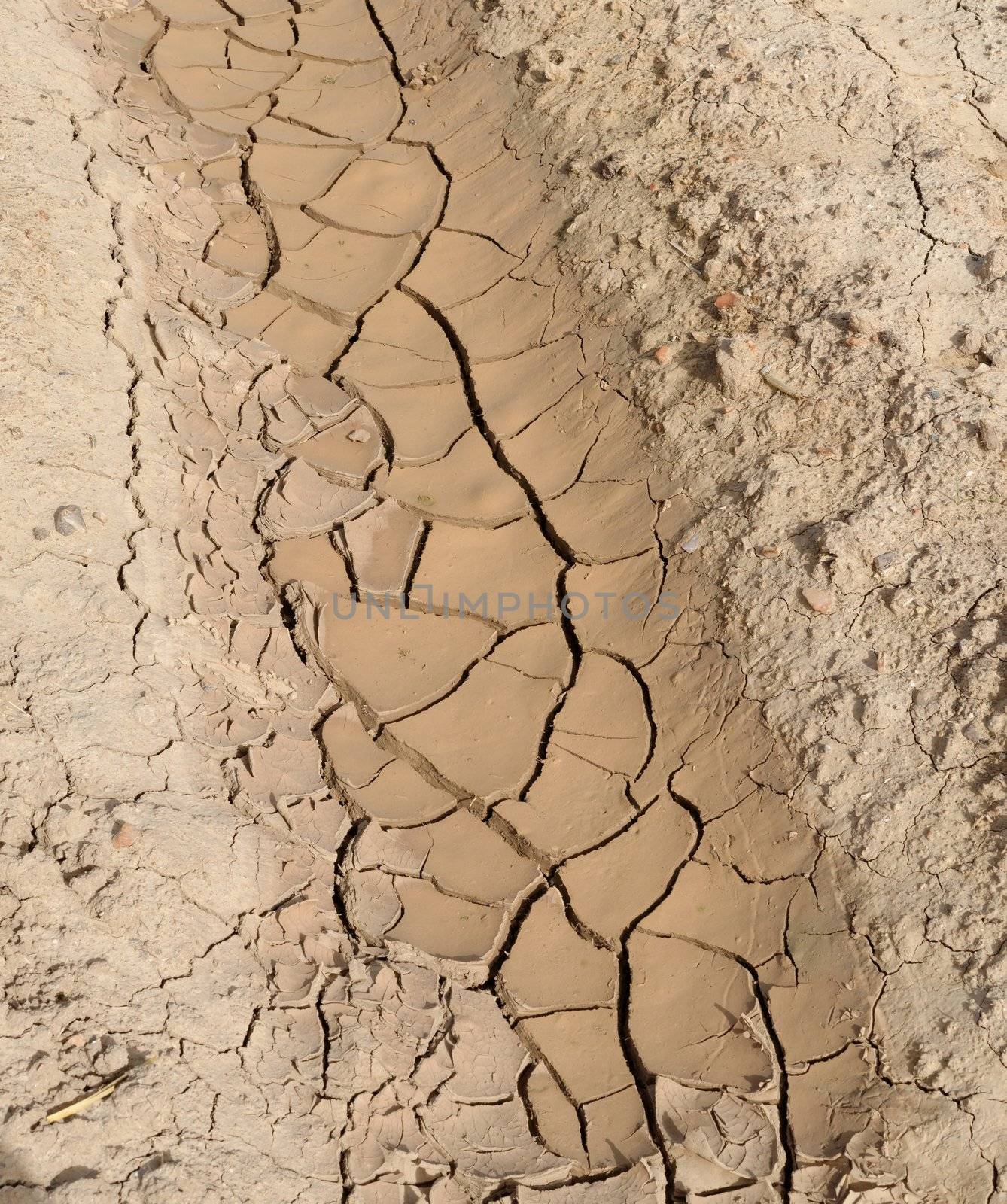 Texture of furrow with cracked brown ground 