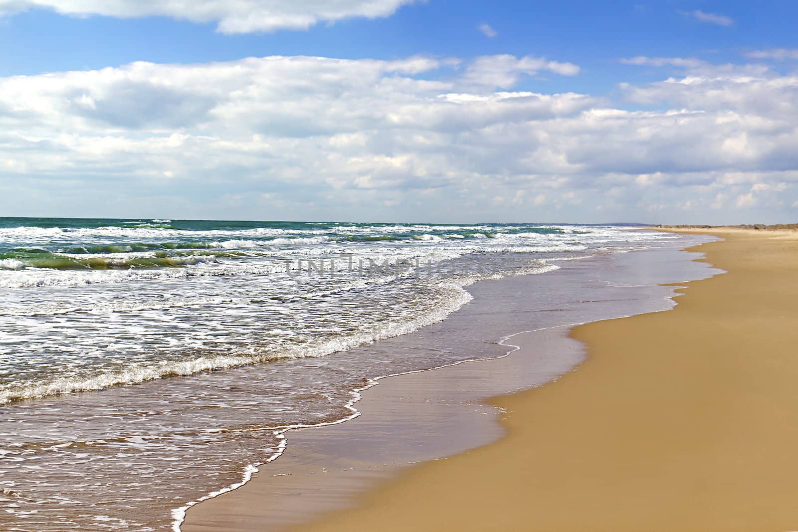 Sea surf on a sandy beach