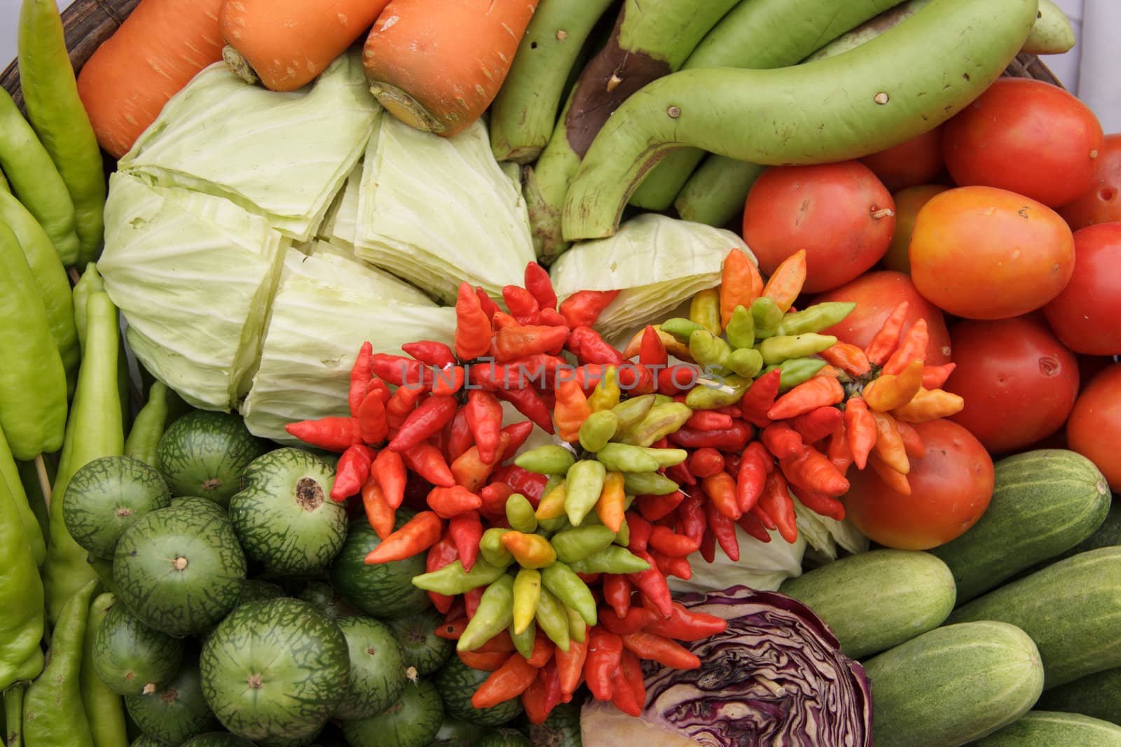 Collection of vegetables / green, yellow, orange, red