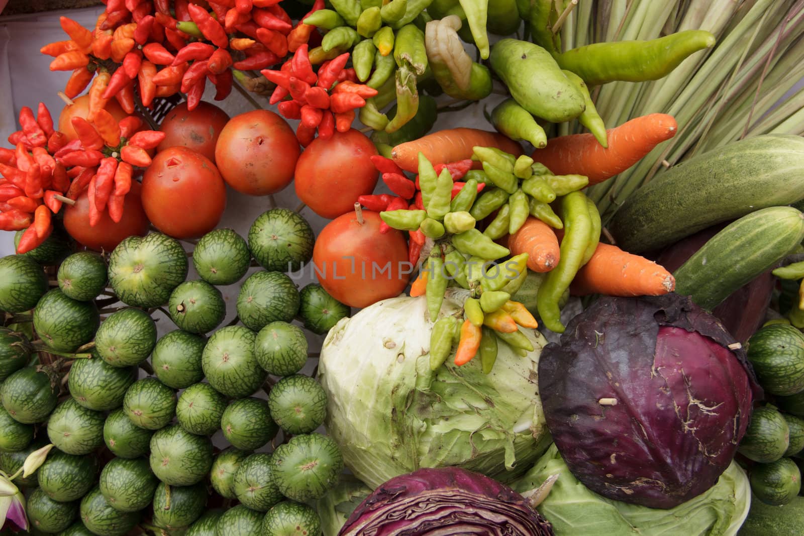 Collection of vegetables / green, yellow, orange, red