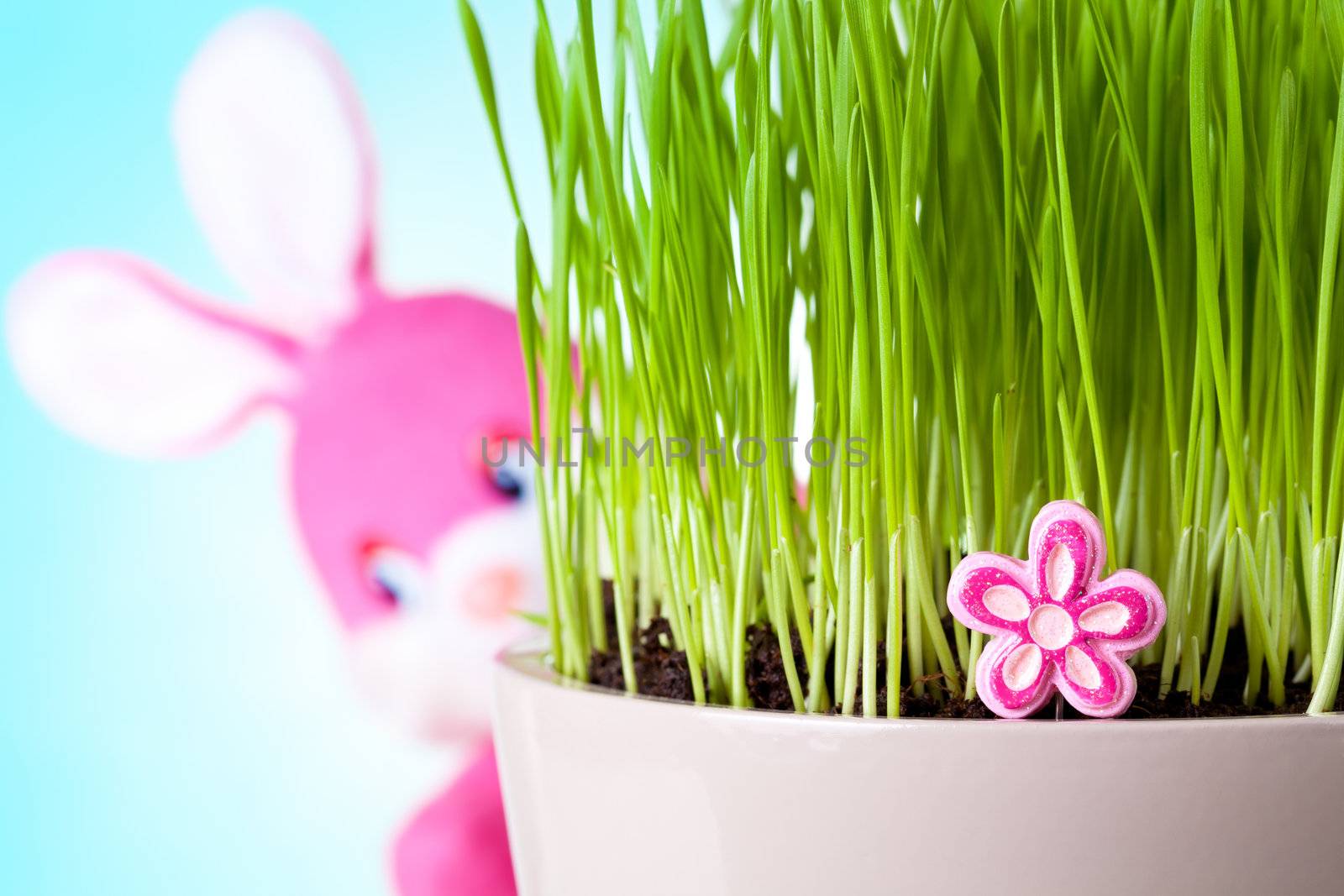 Easter rabbit sitting behind the grass with his face to camera. Focus on pink flower. 